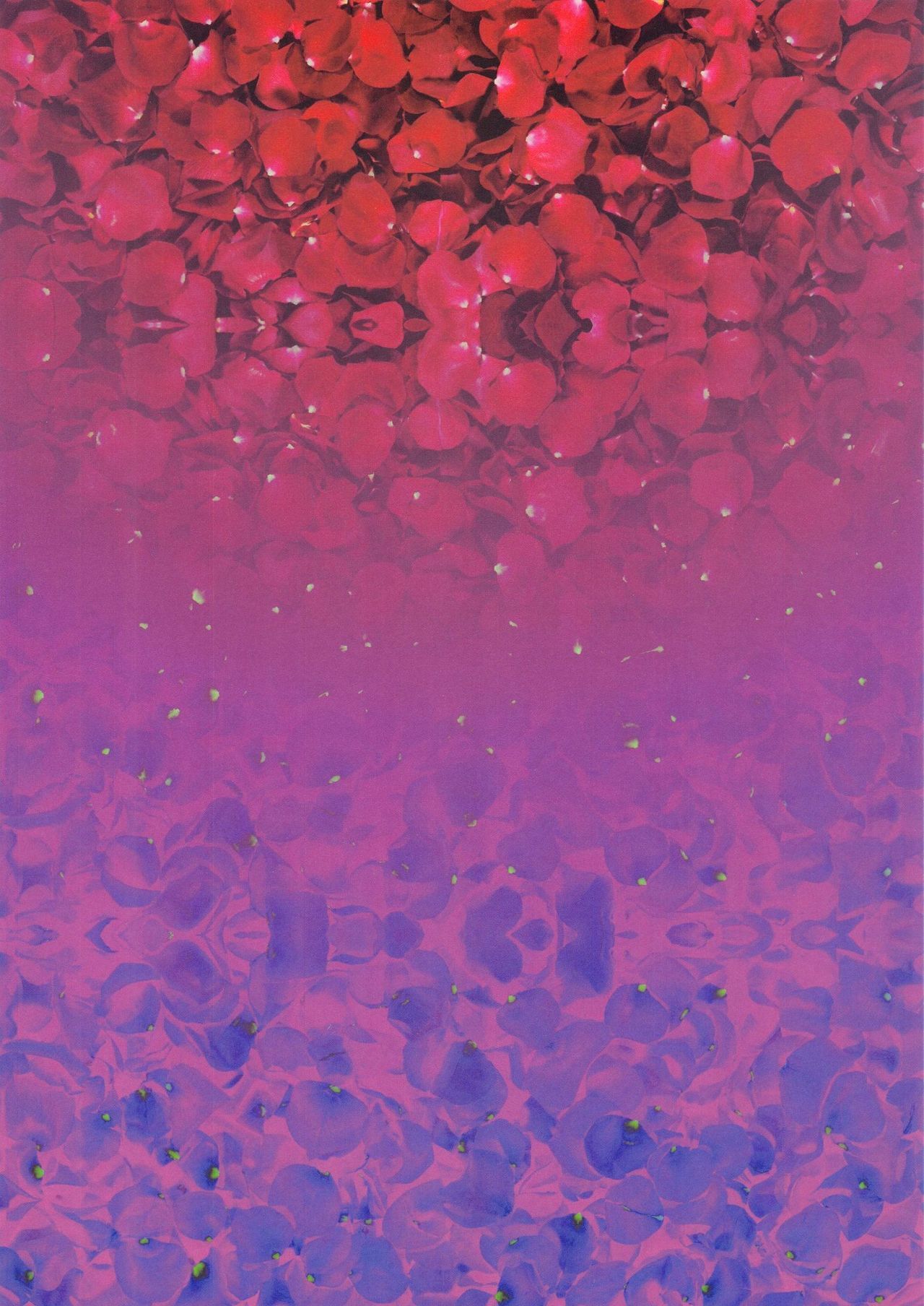 Pei Jiou Nyu Yu Mai Hua Nyu | The Escort and the Flower Girl page 10 full