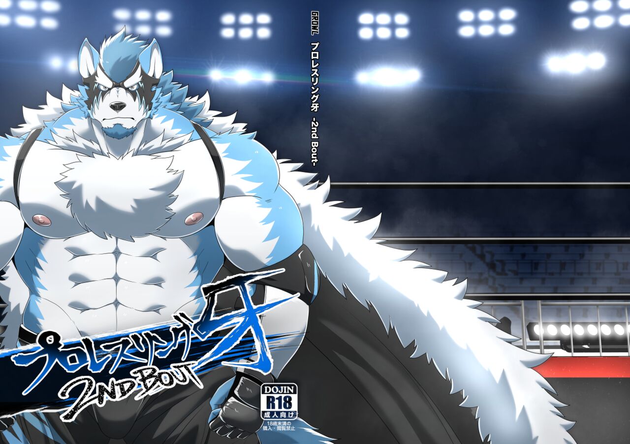 Pro Wrestling Kiba 2nd Bout page 2 full