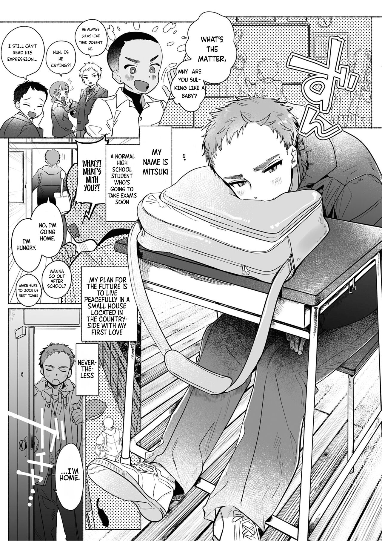  Ore wa Nee-chan de shika Nukenai page 5 full