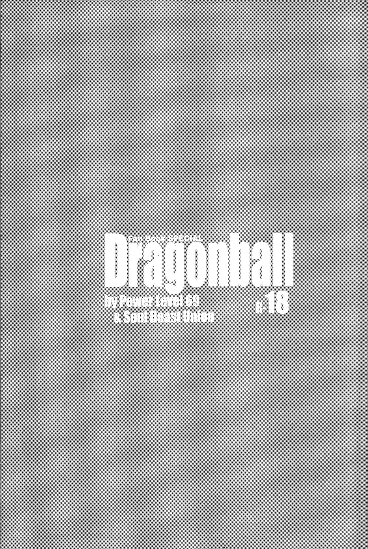 Dragonball Fan Book SPECIAL page 4 full