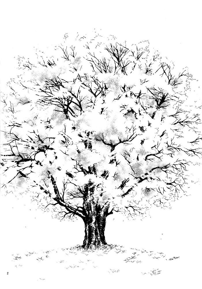 Sakura Gari Vol. 1 page 8 full