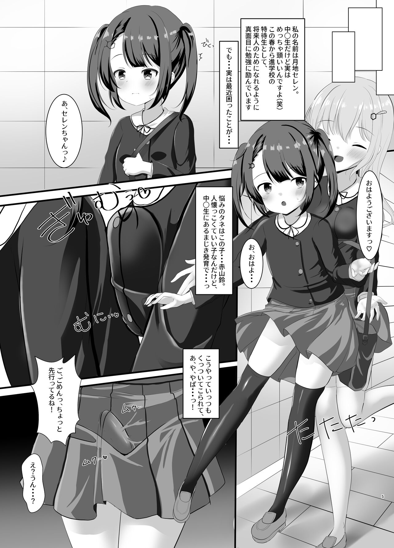 Mahou Shoujo Rin & Selen --Jinkaku Kyousei Akuochi Selen no Baai-- page 5 full
