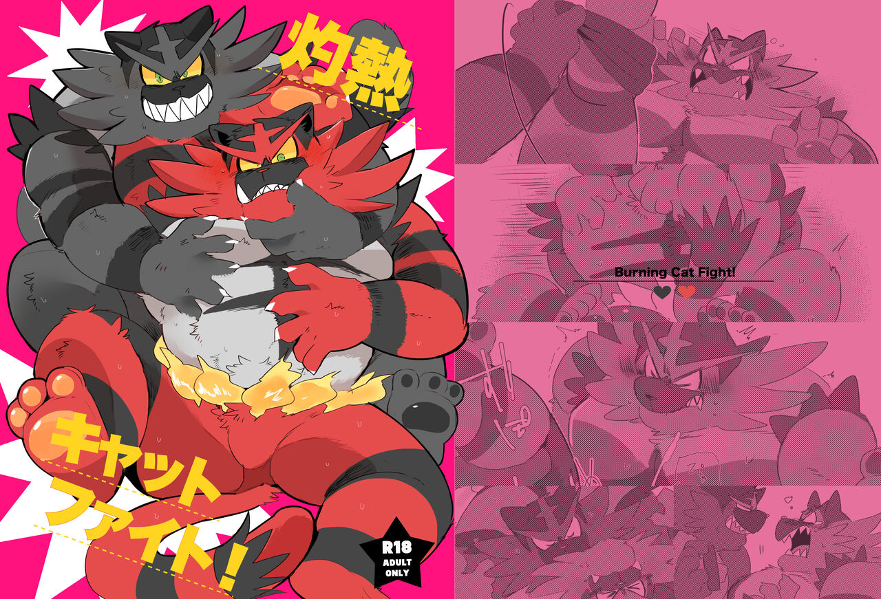 Shakunetsu Cat Fight! - Burning Cat Fight! page 1 full