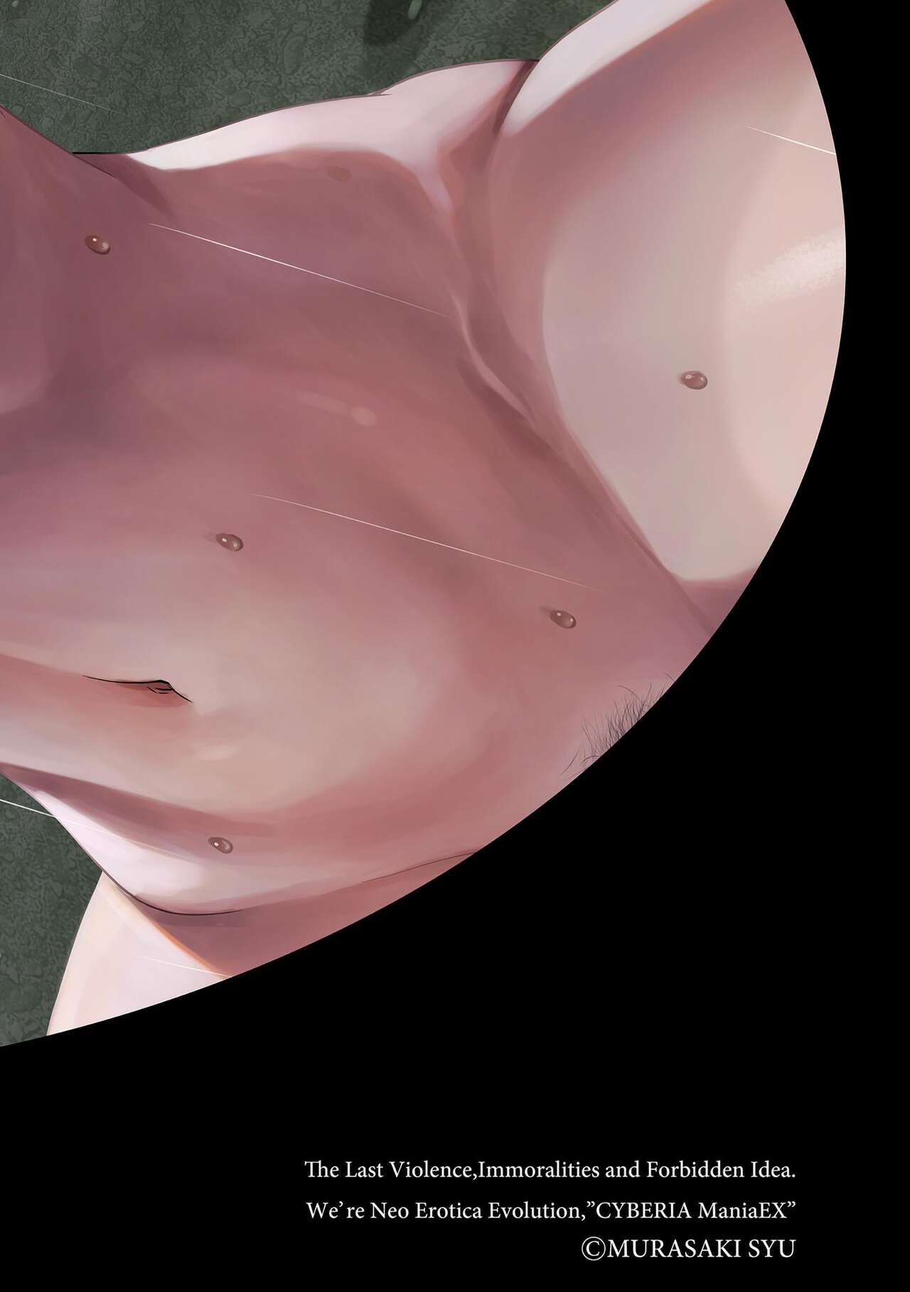 Roshutsu Bishoujo Inraku Ochi page 2 full