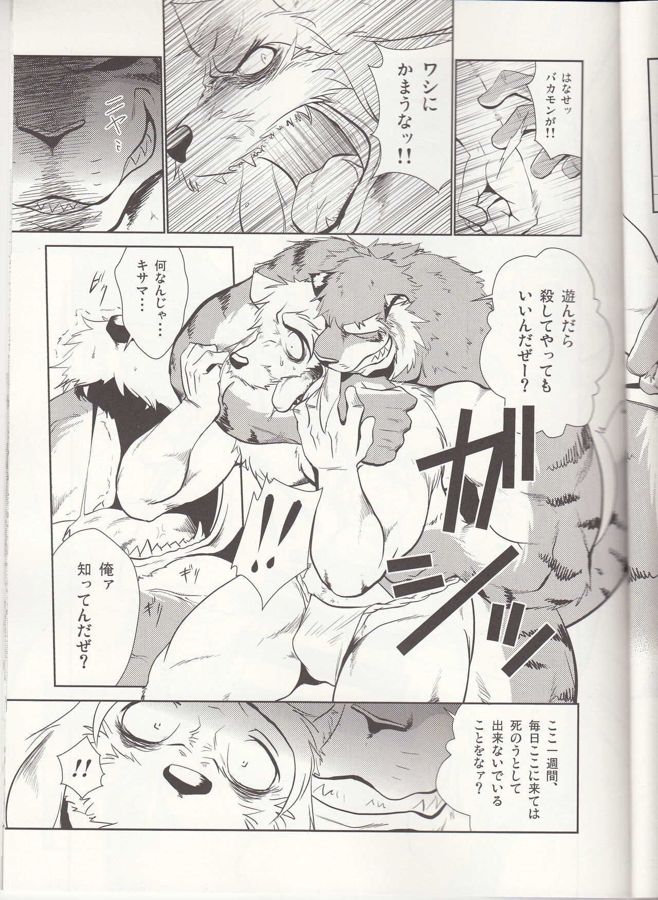 Thank you 4 page 7 full