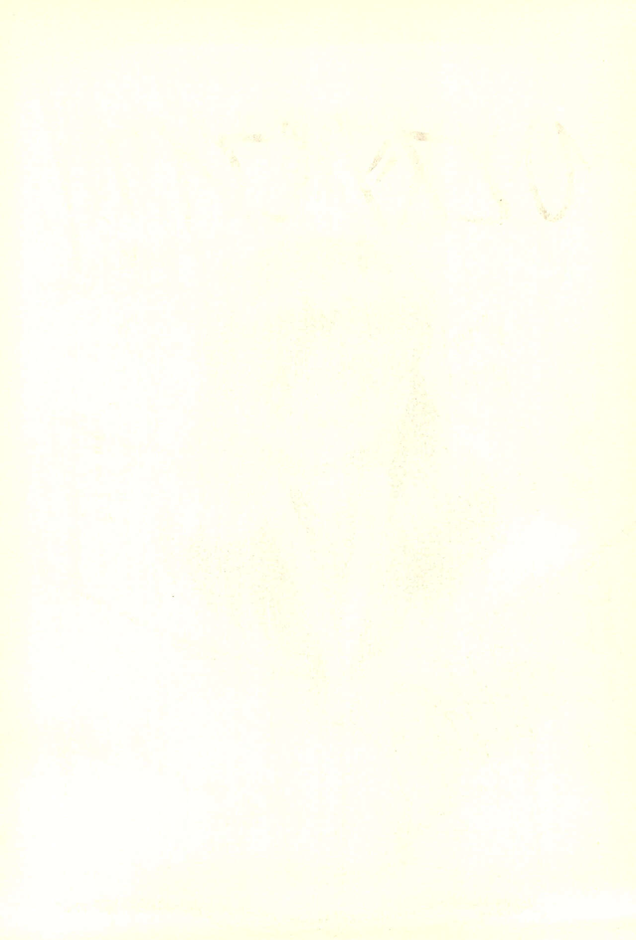 Hitosujinawa SPECIAL Ruri Ruri? Soushuuhen Kanzenban page 2 full