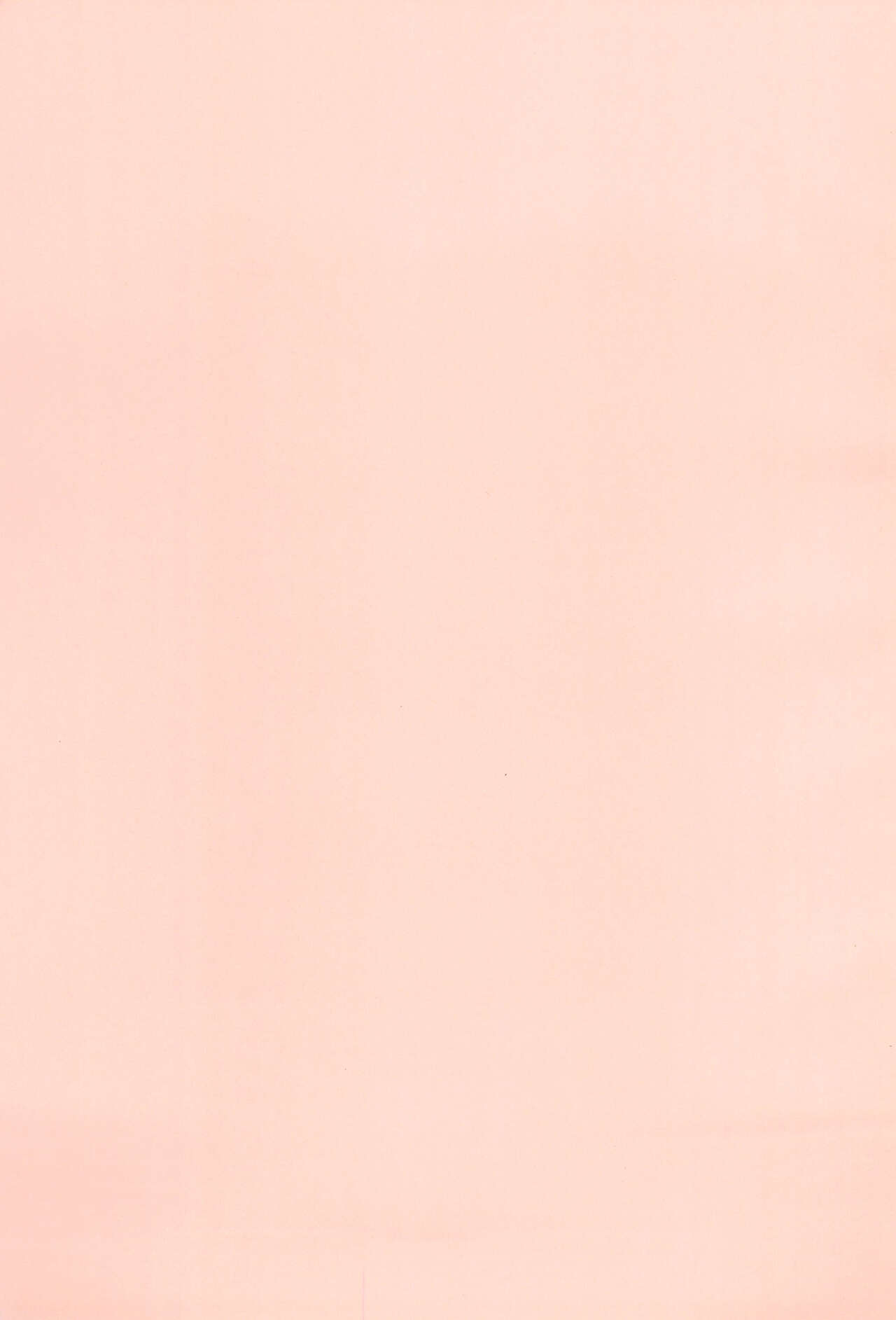 Miss Maggie no Suteki na Shoubai -Wonderful Business of Miss Maggie- Vol. 3 page 3 full