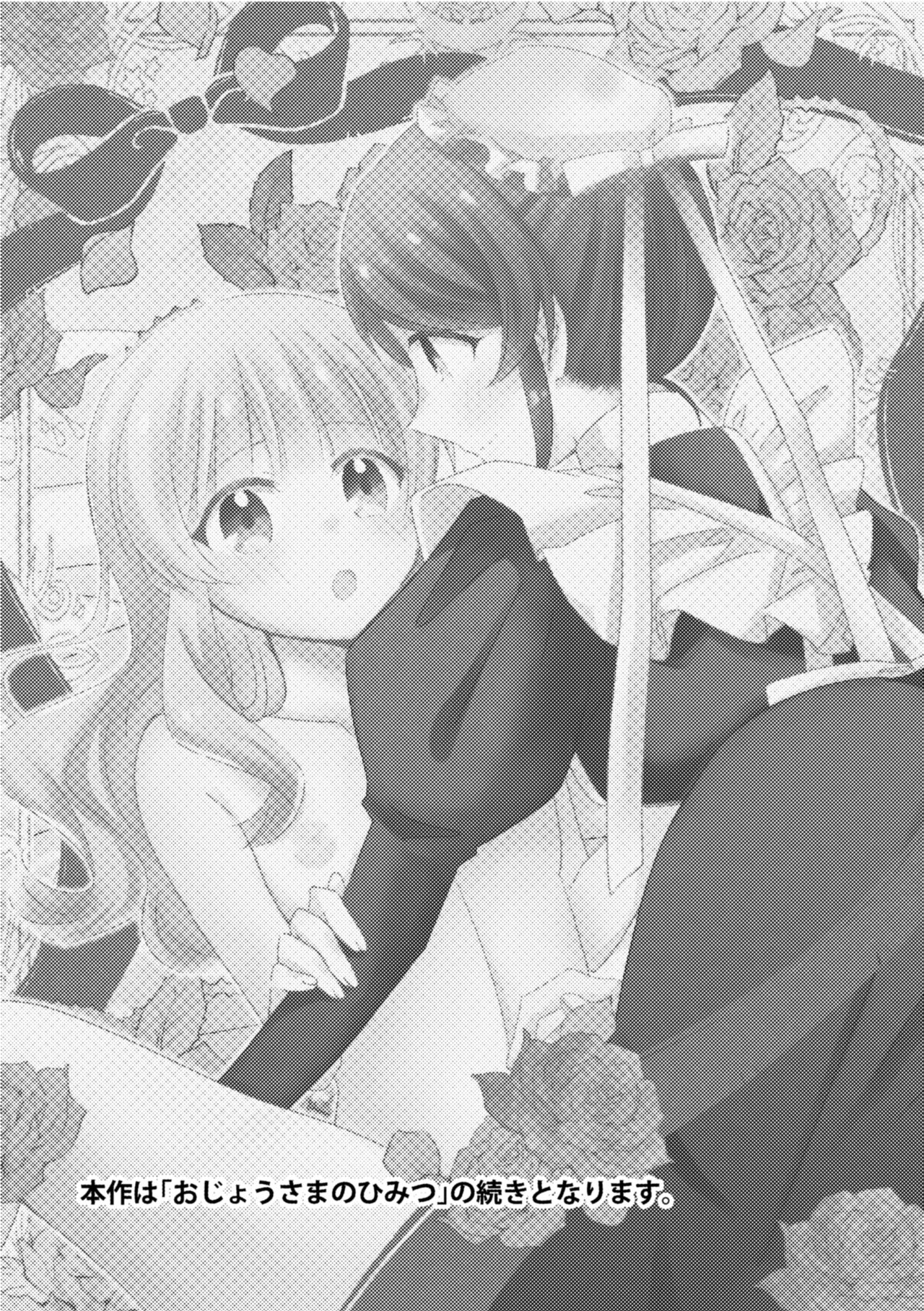 Ojou-sama no Himitsu 2 page 3 full