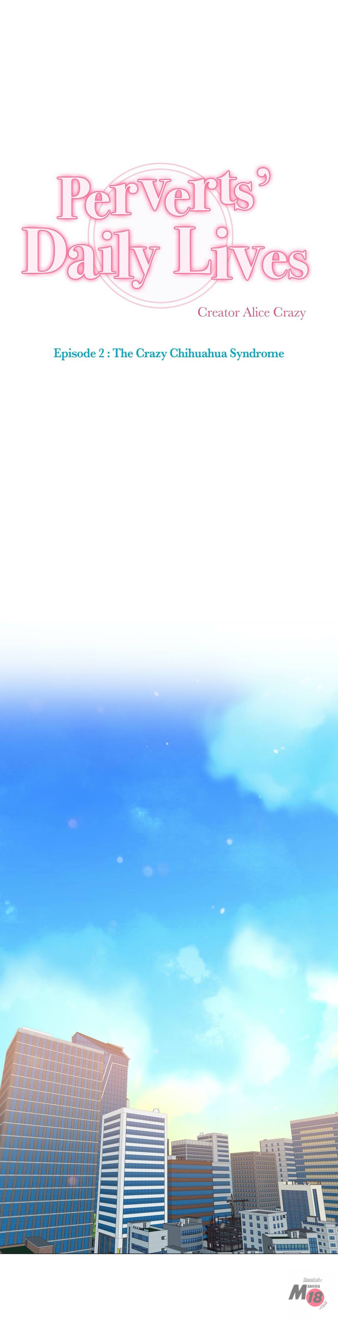 Perverts' Daily Lives Episode 2: Crazy Chihuahua Syndrome page 6 full