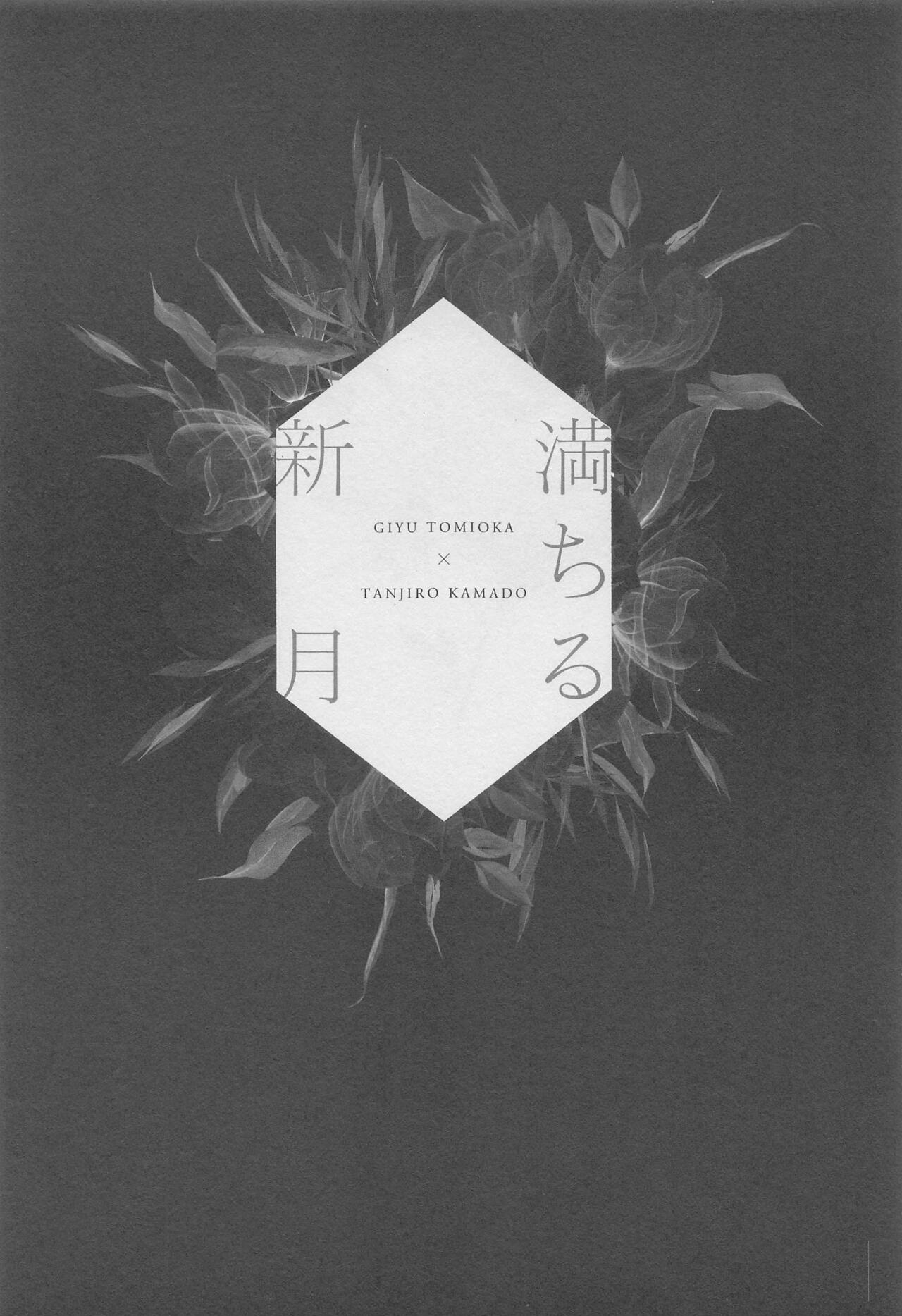 Michiru Shingetsu page 2 full