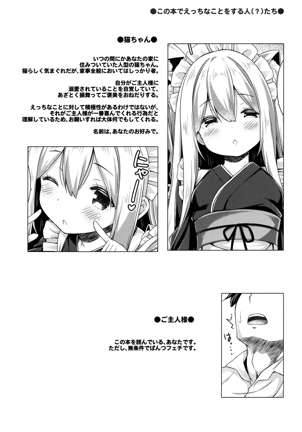 Anata no Neko-chan Maid. page 3 full