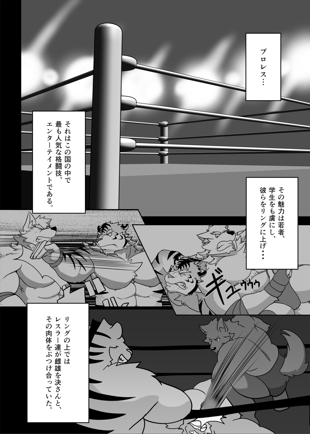 ProWres Ring Kiba PRIVATE MATCH page 6 full