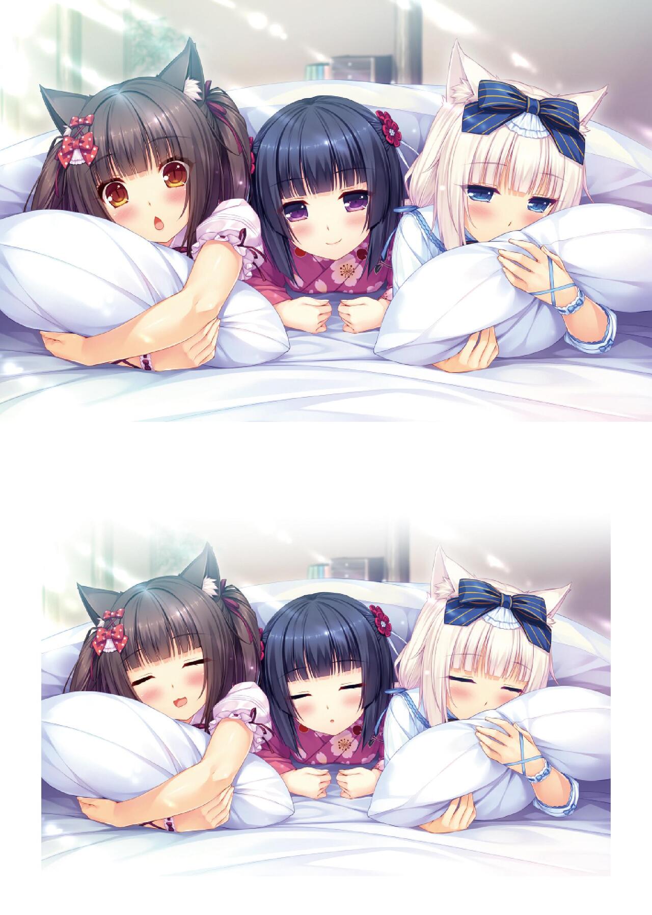 NEKOPARA ART WORKS Vol.0 page 3 full