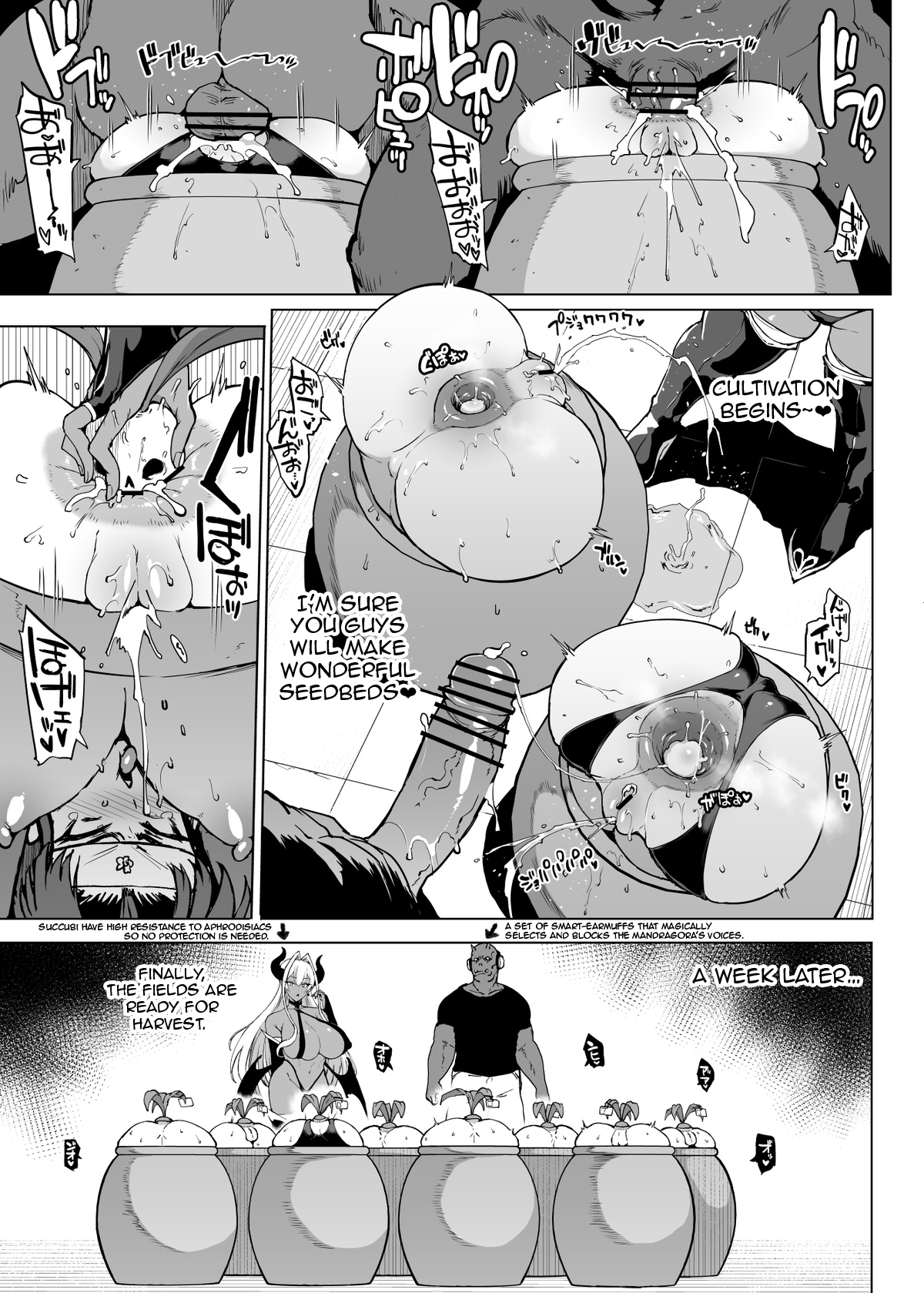 "Taimabu Season 3" VS Mandragora page 5 full
