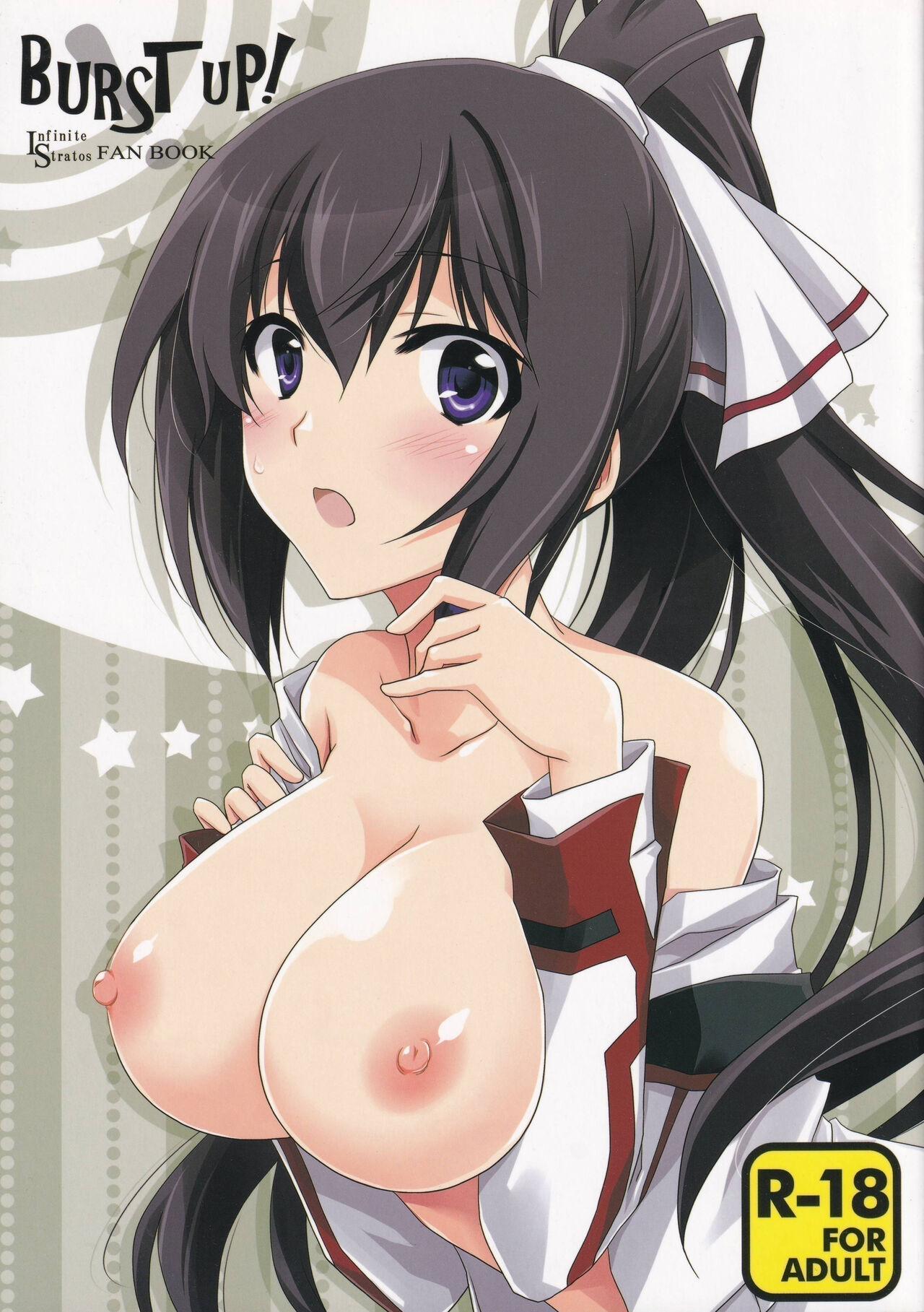 Burst Up! Infinite Stratos FAN BOOK page 1 full