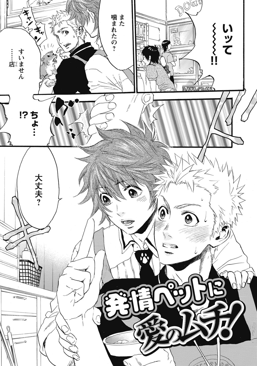 Hatsujou Pet Choukyouchuu! page 5 full