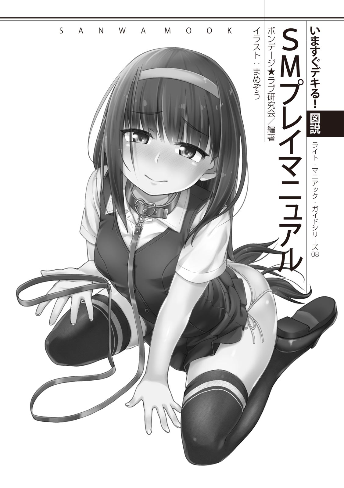 いますぐデキる 図説SMプレイマニュアル page 3 full