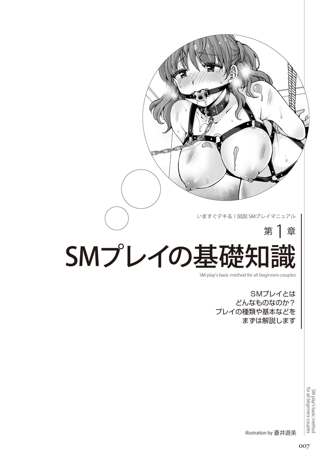 いますぐデキる 図説SMプレイマニュアル page 7 full