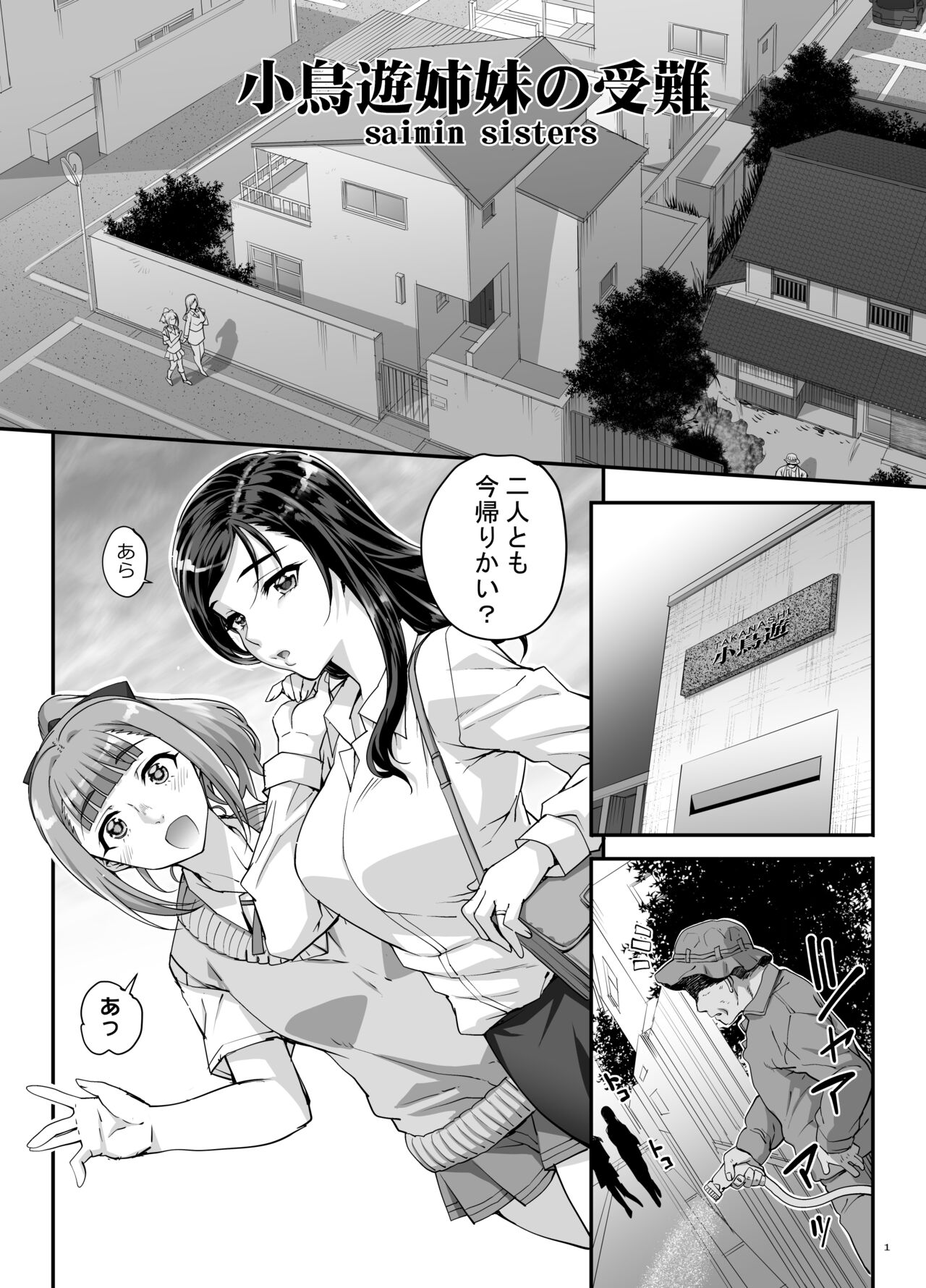 Takanashi Shimai no Junan page 2 full