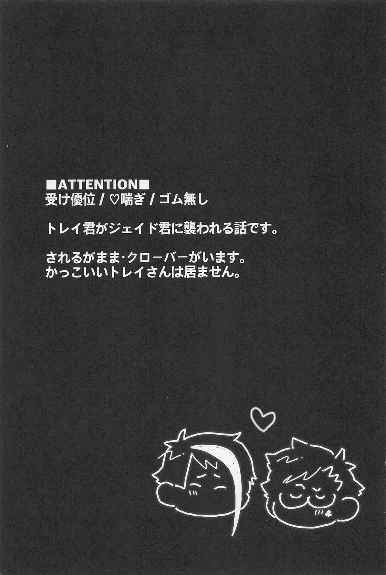 Bat Cat around Trip. page 2 full