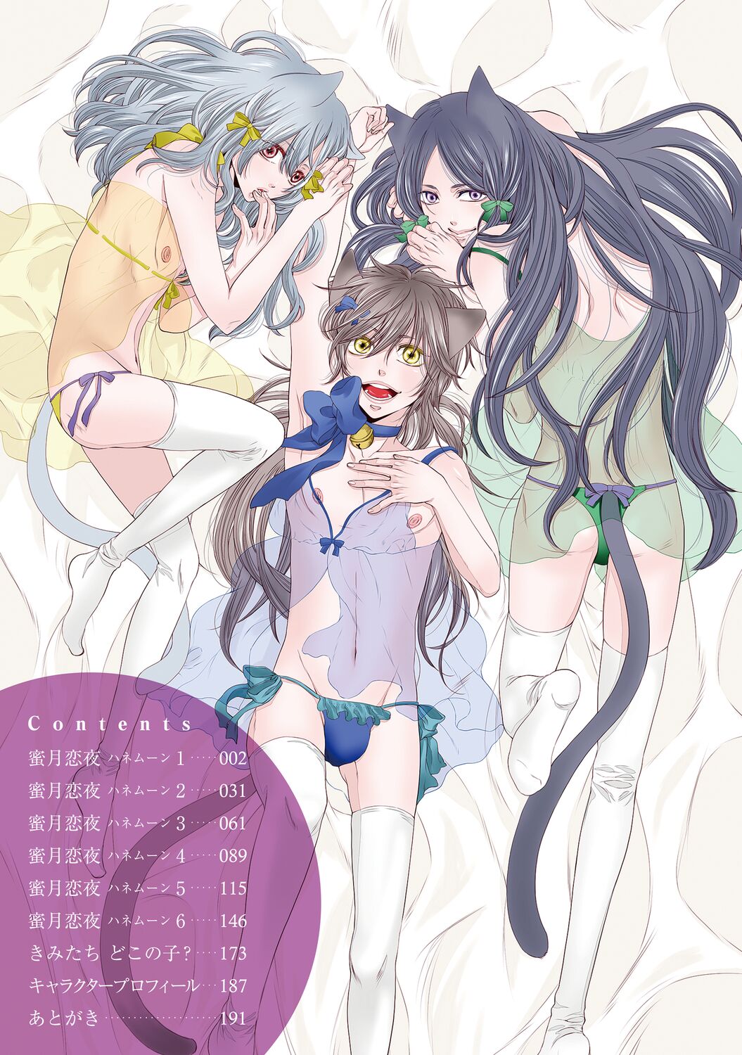 Aigan Neko no Yuuwaku page 3 full