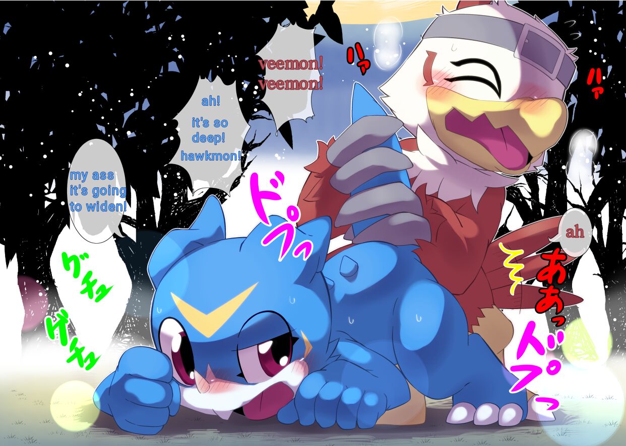 Digital Voice page 4 full