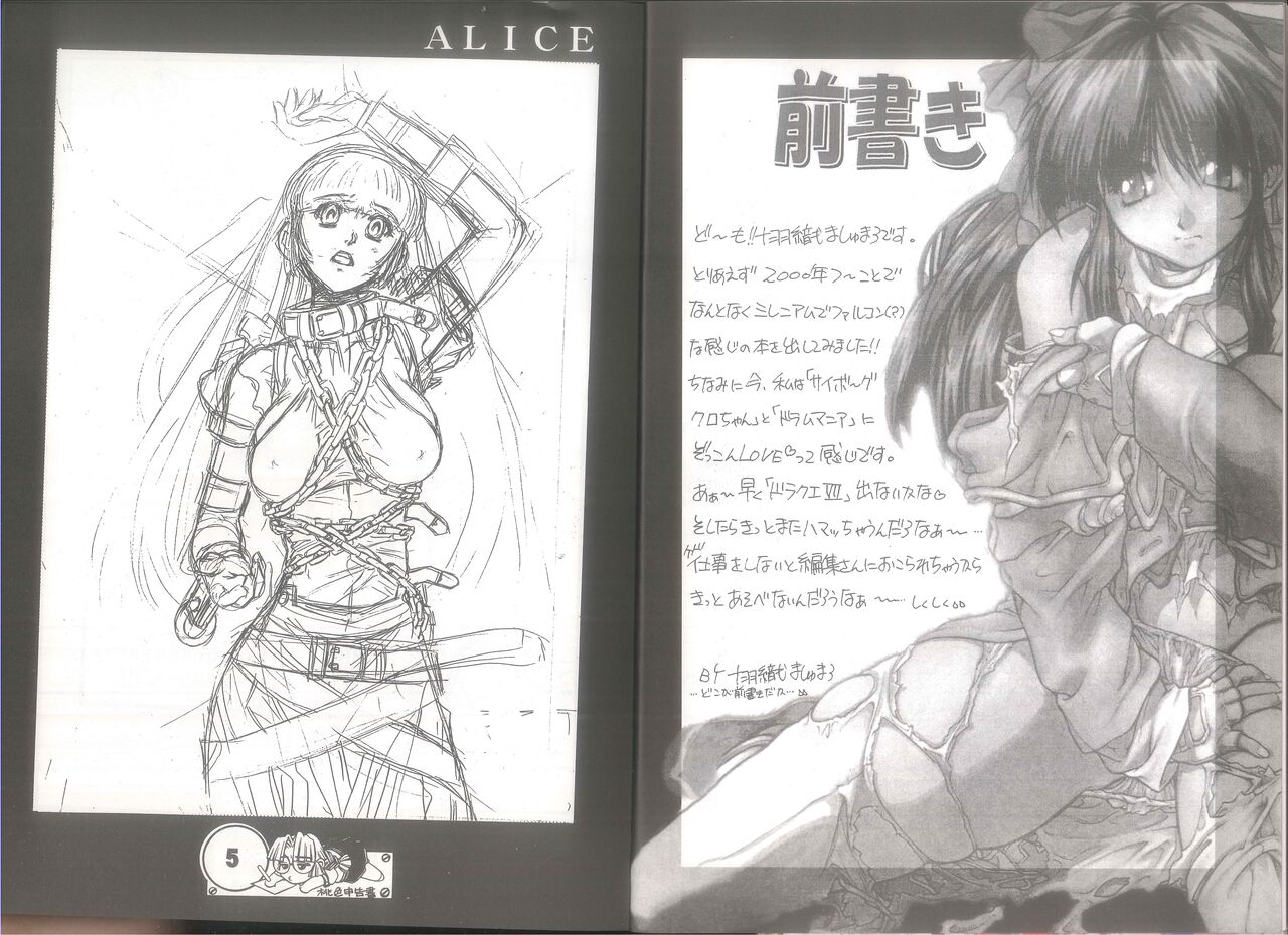 桃色申告書 ver.MILLENNIUM FALCON page 4 full