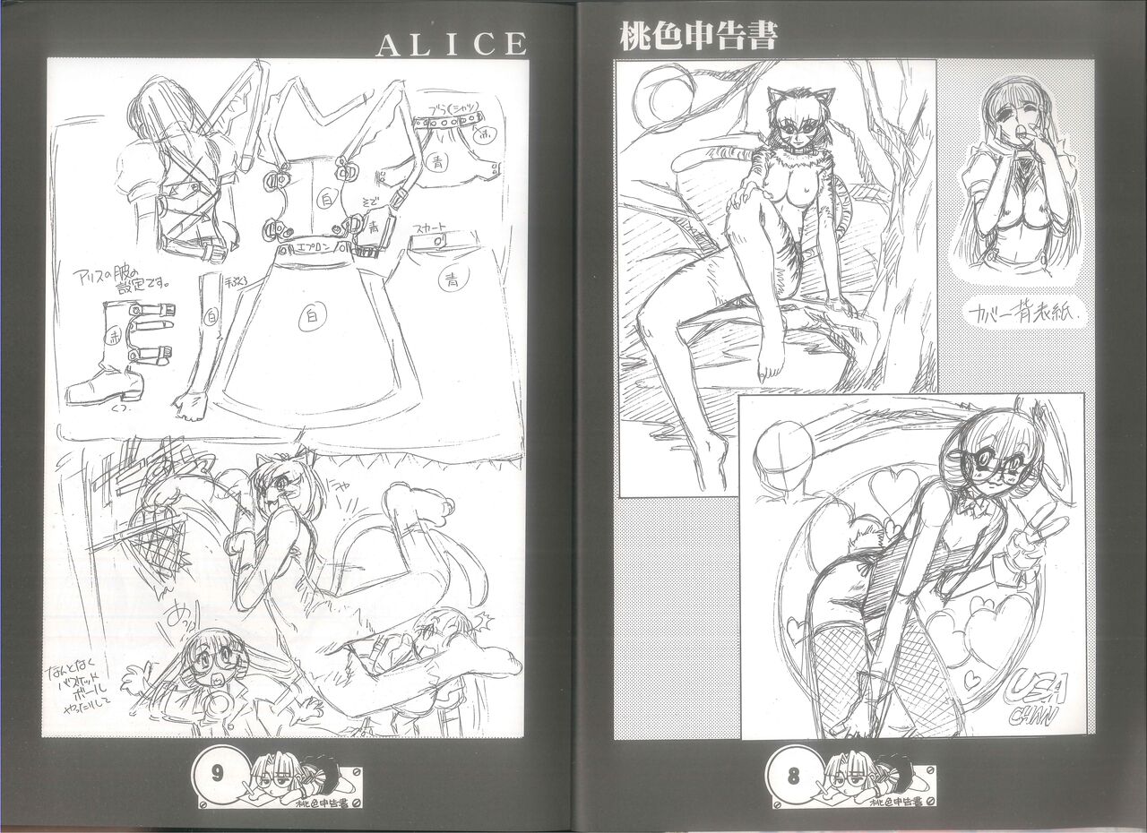 桃色申告書 ver.MILLENNIUM FALCON page 6 full