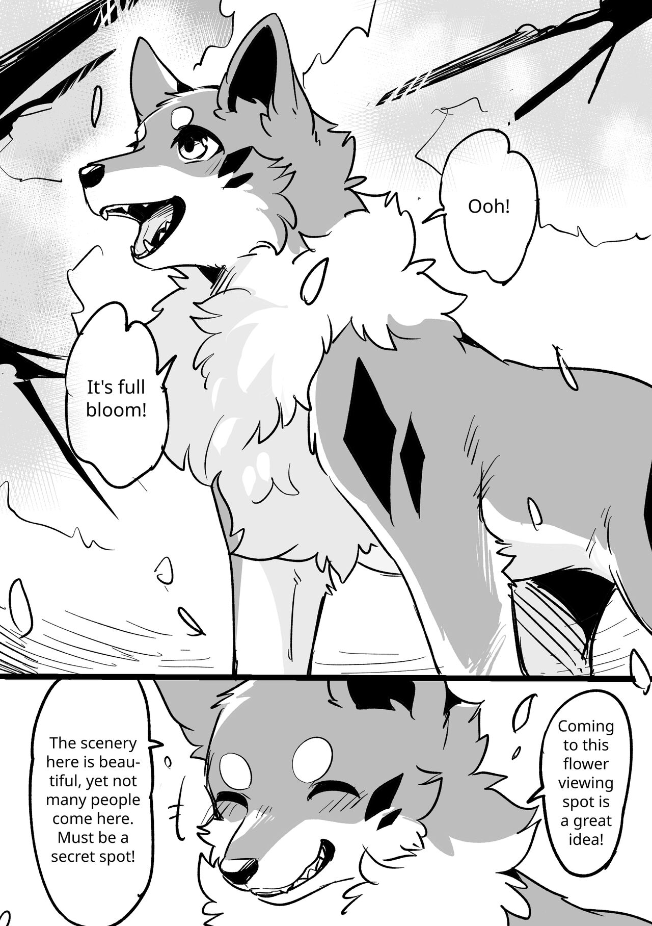 Ohanami Anaba Spot | Secret Flower Viewing Spot page 1 full