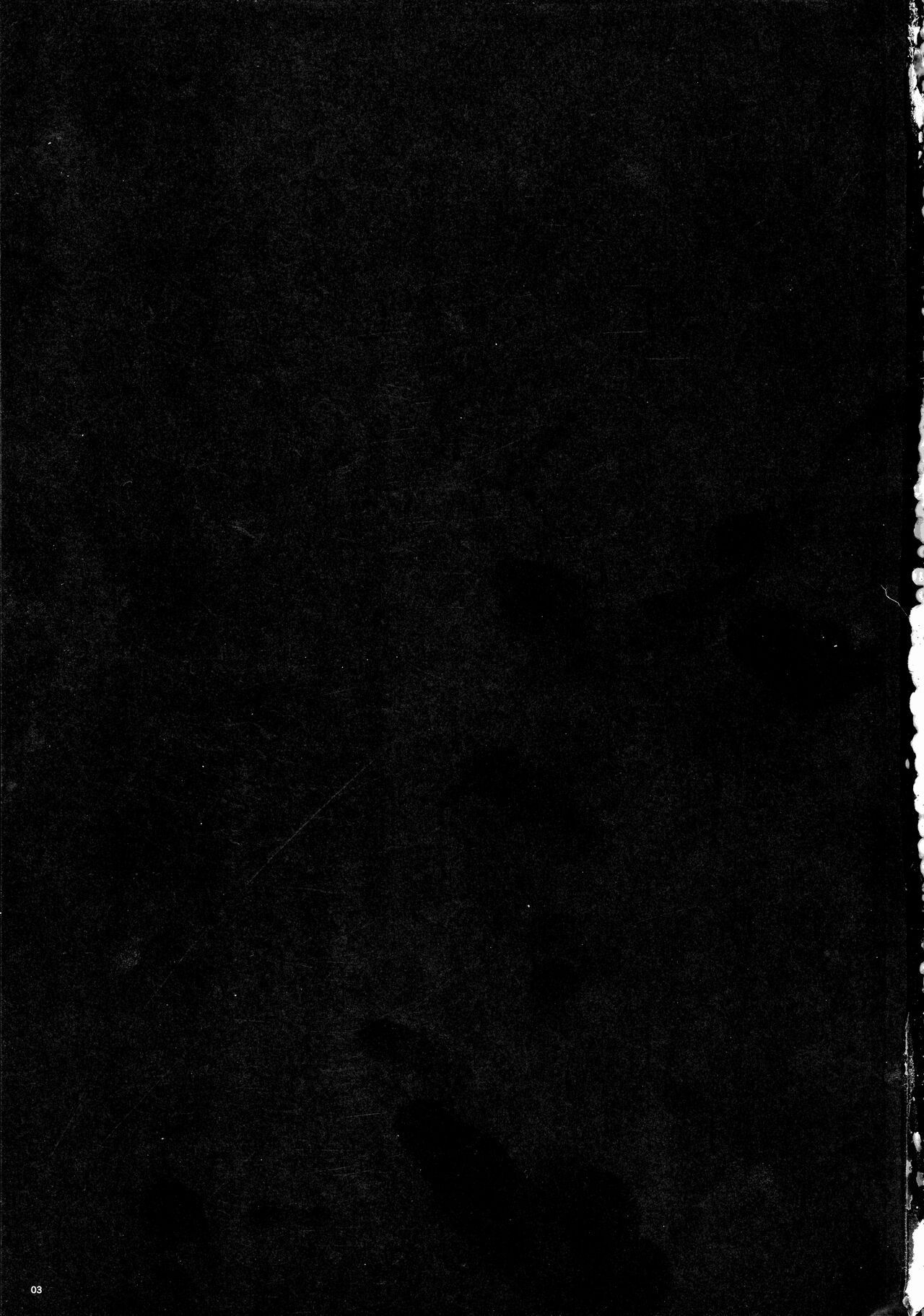 Touhou Ochinpo Haechatta Goudoushi page 2 full