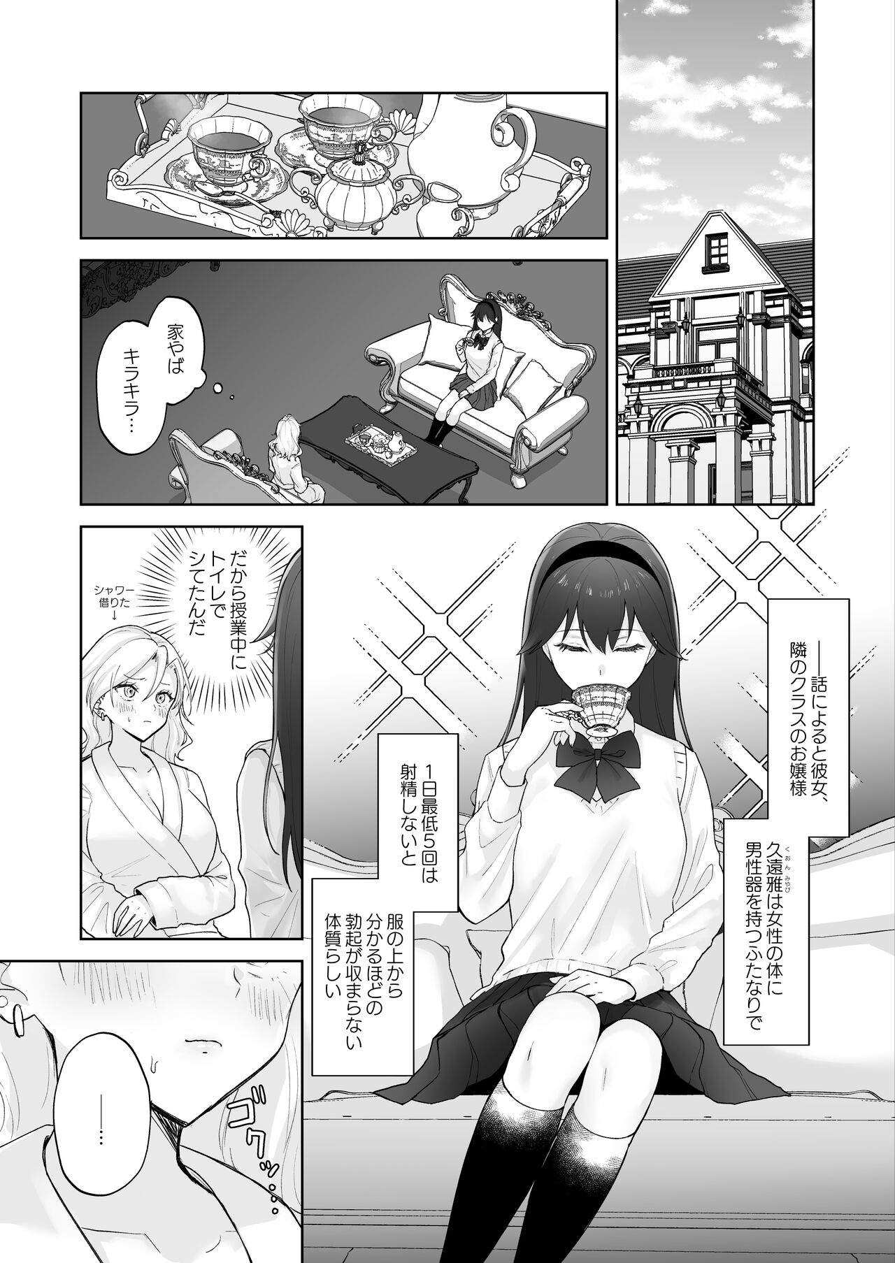 Shojo Gal, Futanari Ojou-sama no Onaho ni Naru page 9 full