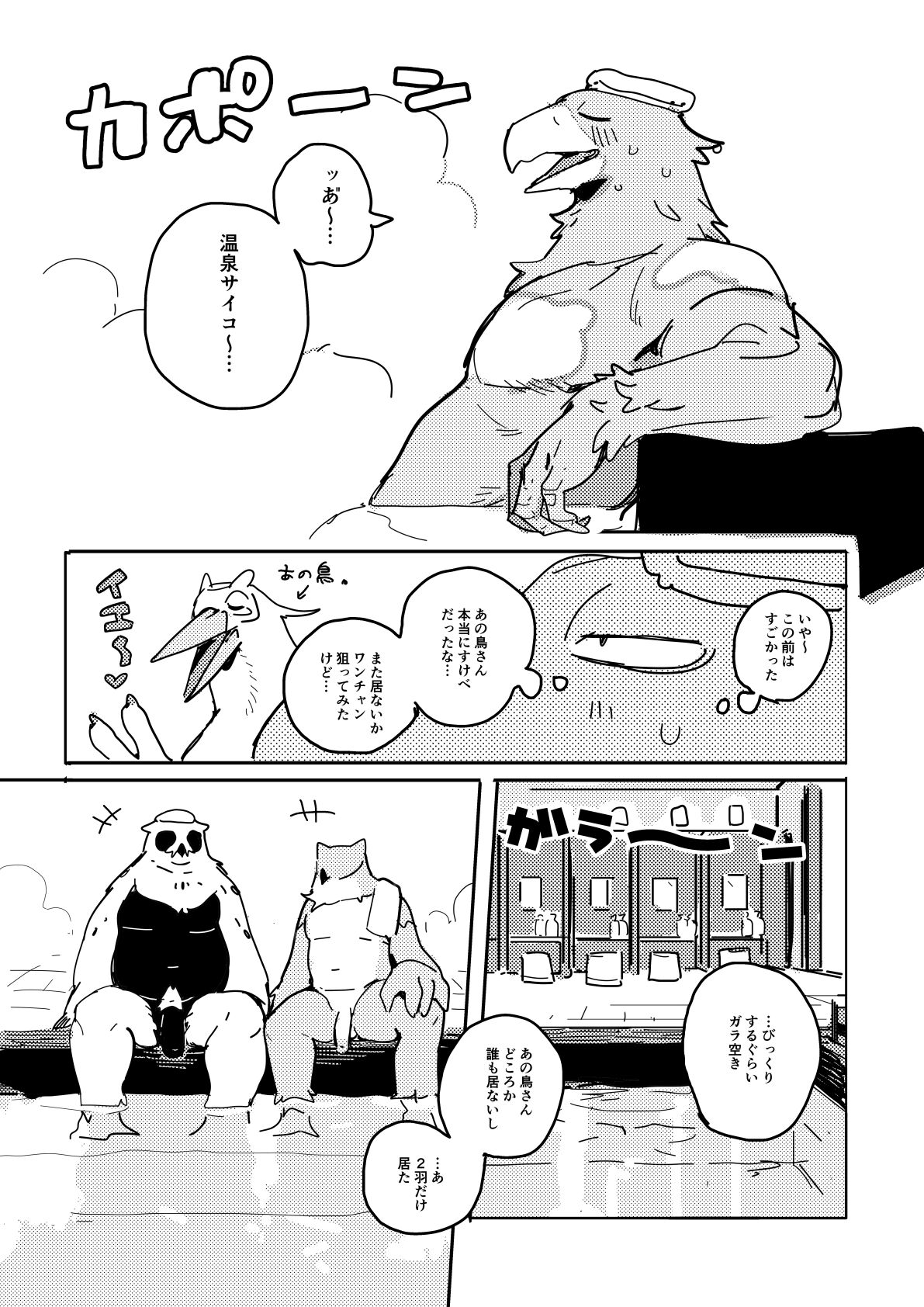 - BIRD IN SPA! page 1 full