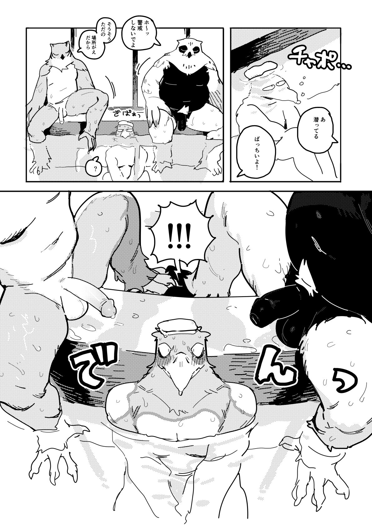 - BIRD IN SPA! page 7 full