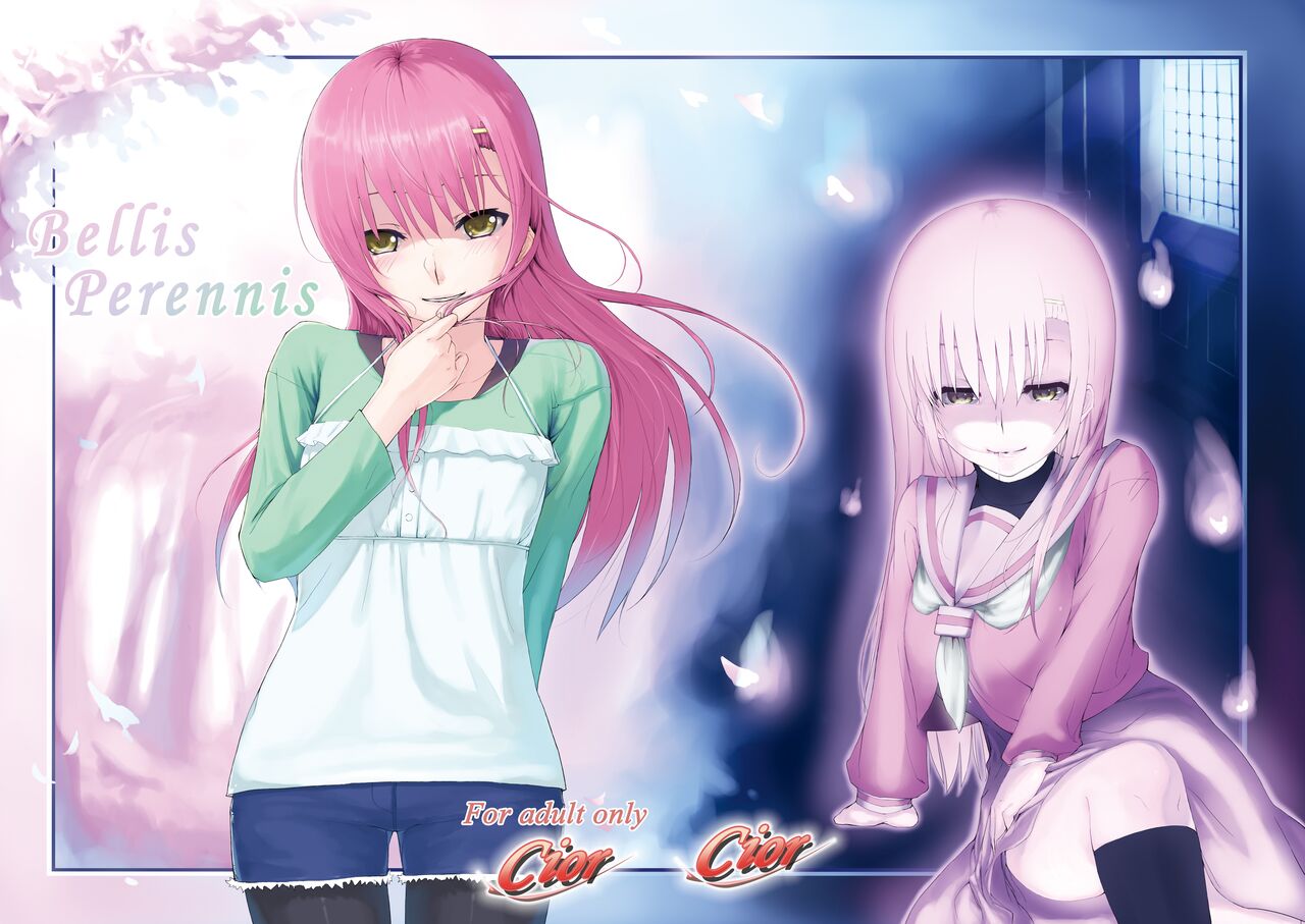 Bellis Perennis page 1 full