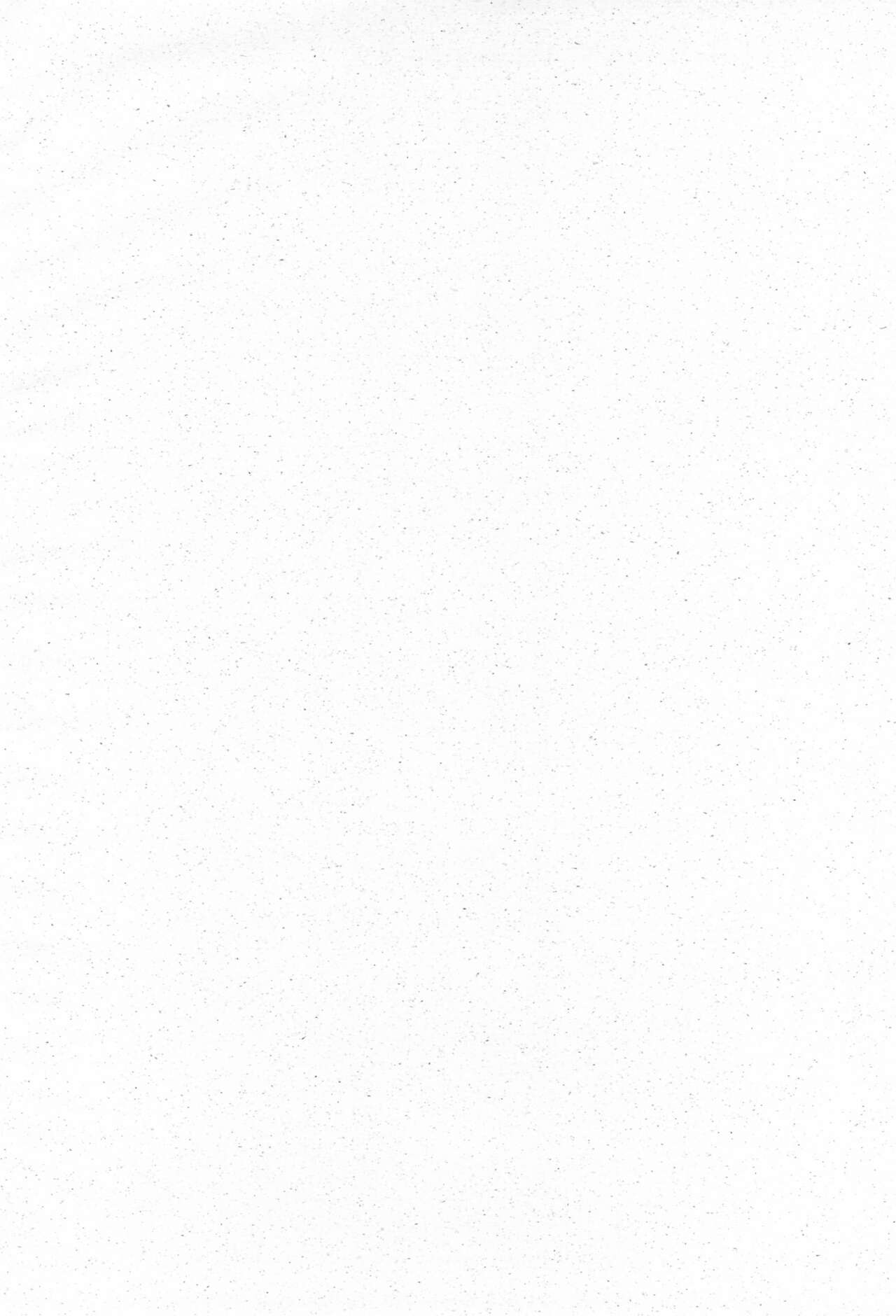 Re: Shoryutei Light 2 page 4 full