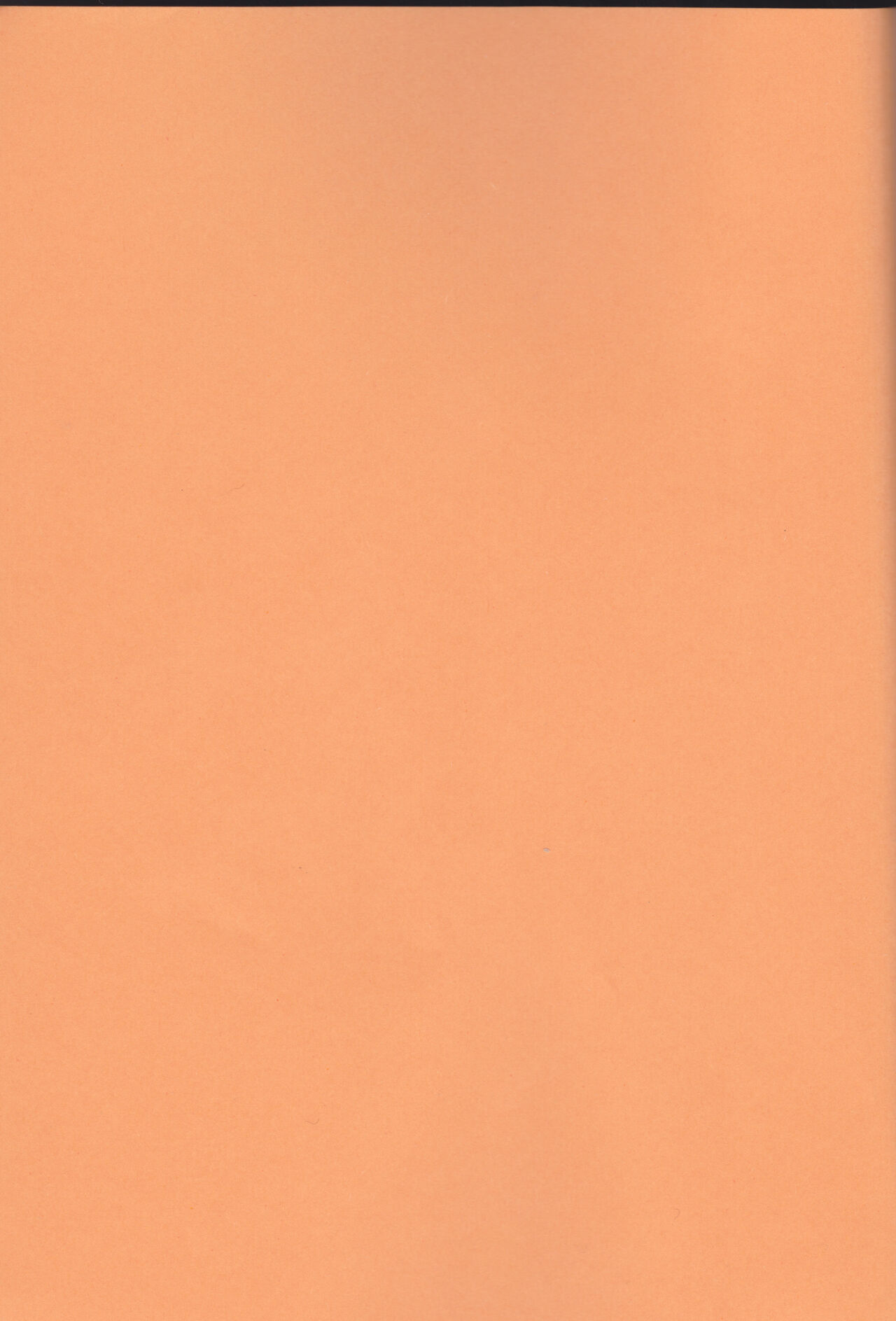 Kamikaze 2 page 2 full