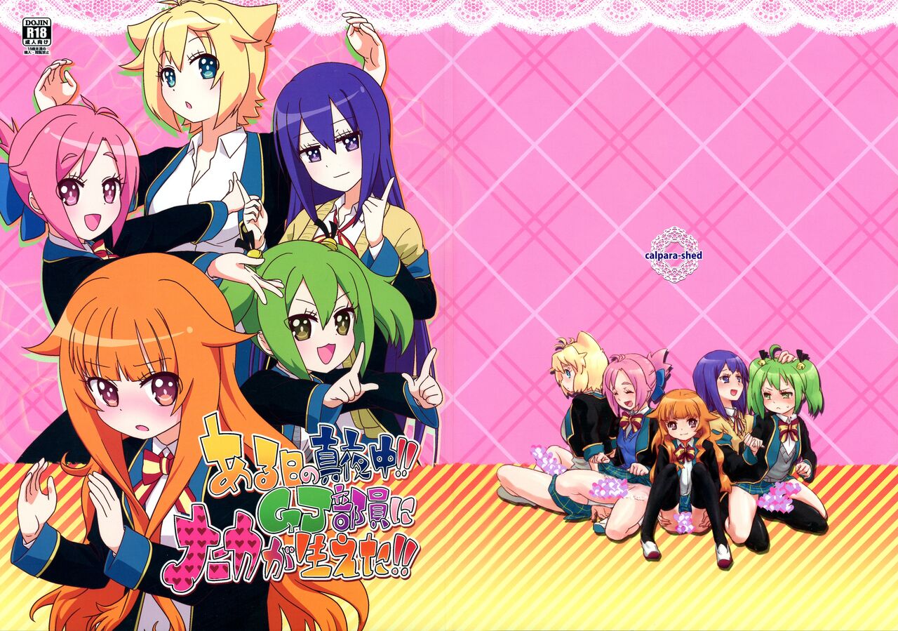 Aru Hi no Mayonaka!! GJ-buin ni Nanika ga Haeta!! page 1 full