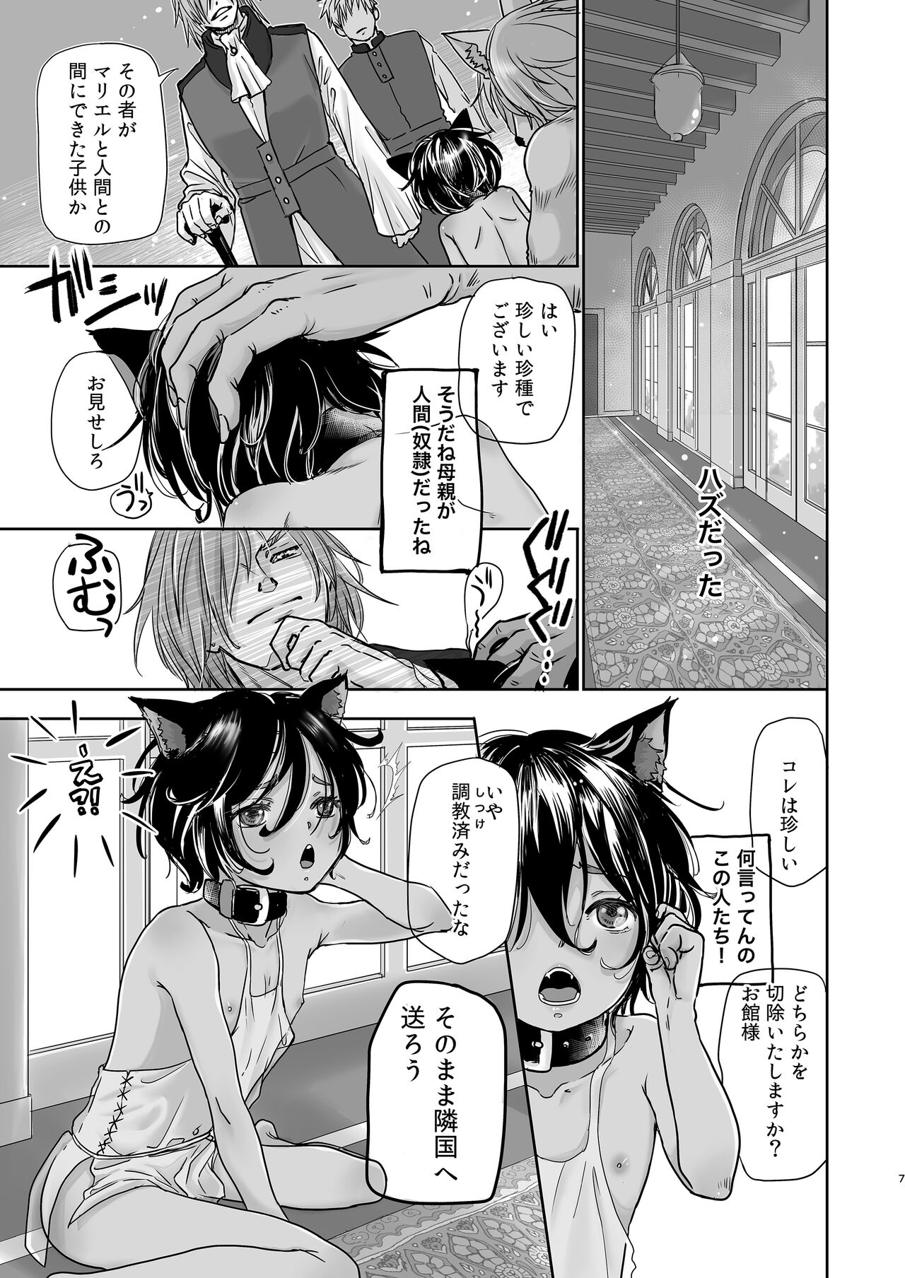 Boku, Isekai de Nekomimi Seidorei to Shite Tonari no Kuni made Tabi o Shitemasu. page 7 full