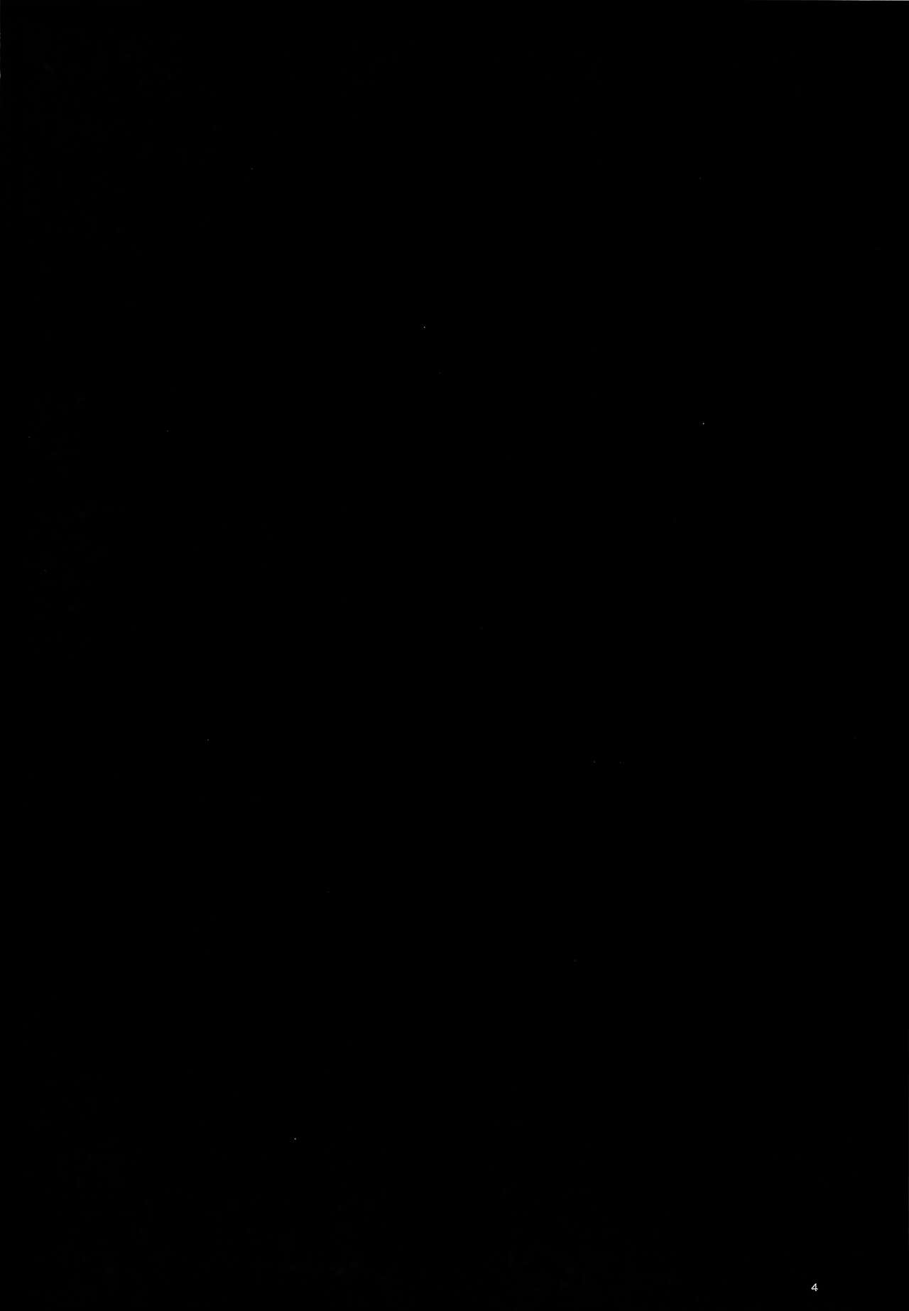 Niwakaame page 3 full