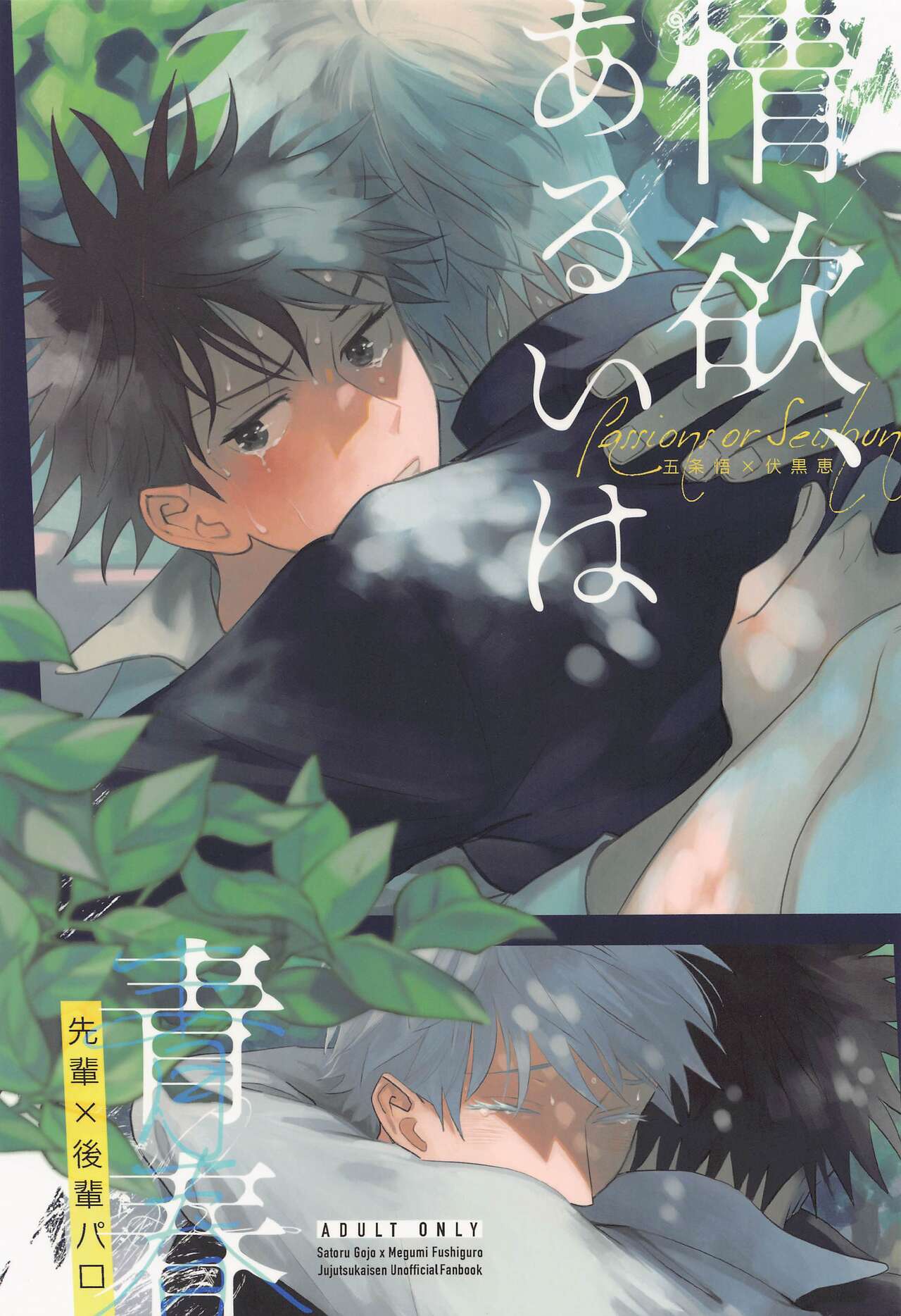 Jouyoku, Aruiwa Seishun ︎ page 1 full