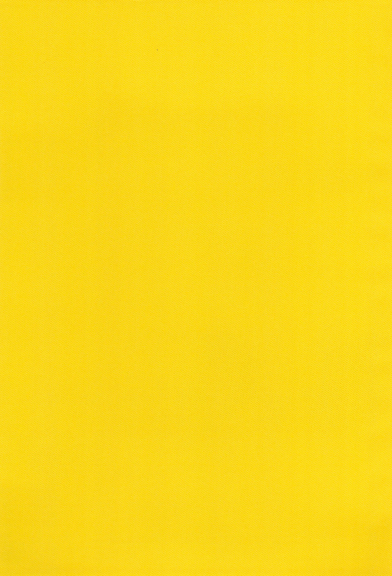 Renaissance Ajikko page 3 full