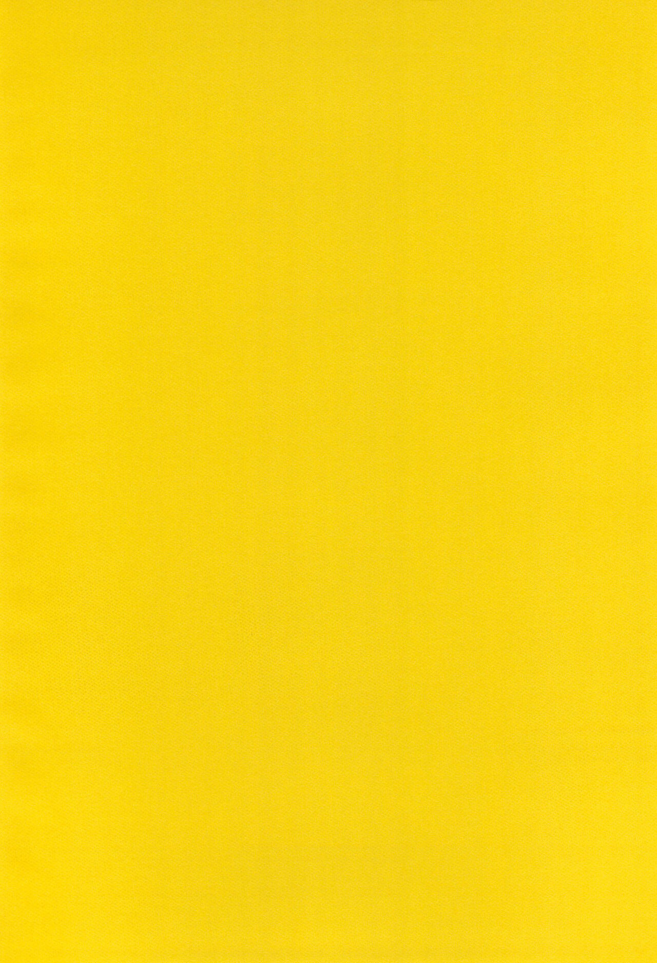 Renaissance Ajikko page 4 full