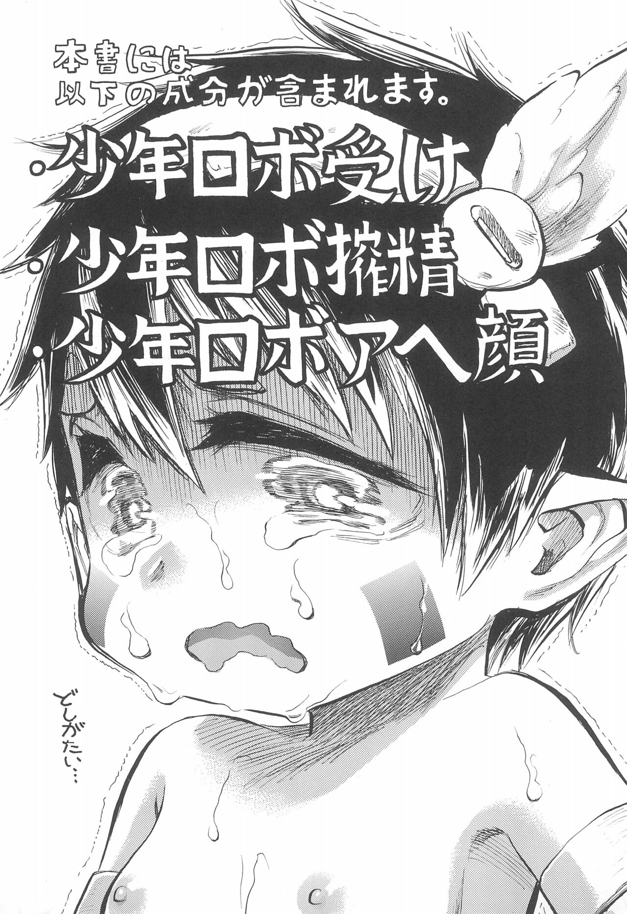 RegShibori page 3 full