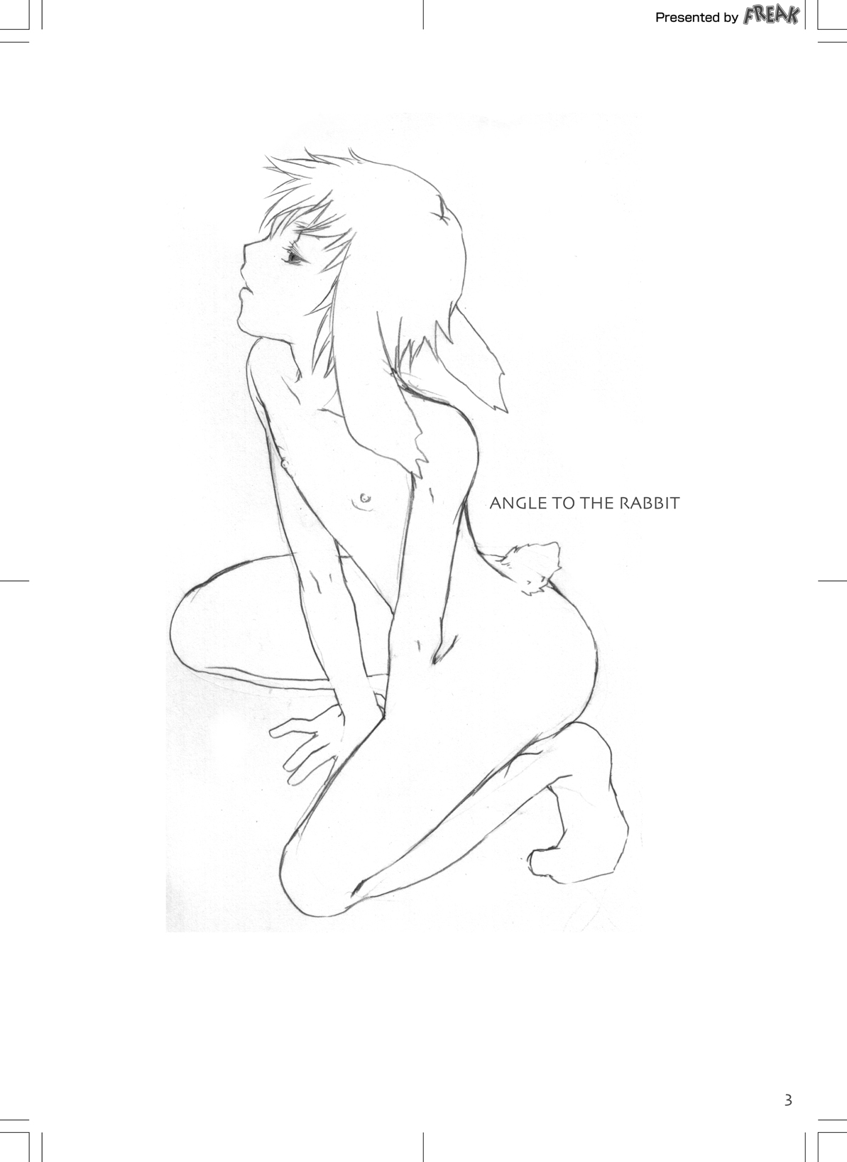 ANGLE TO THE RABBIT page 2 full