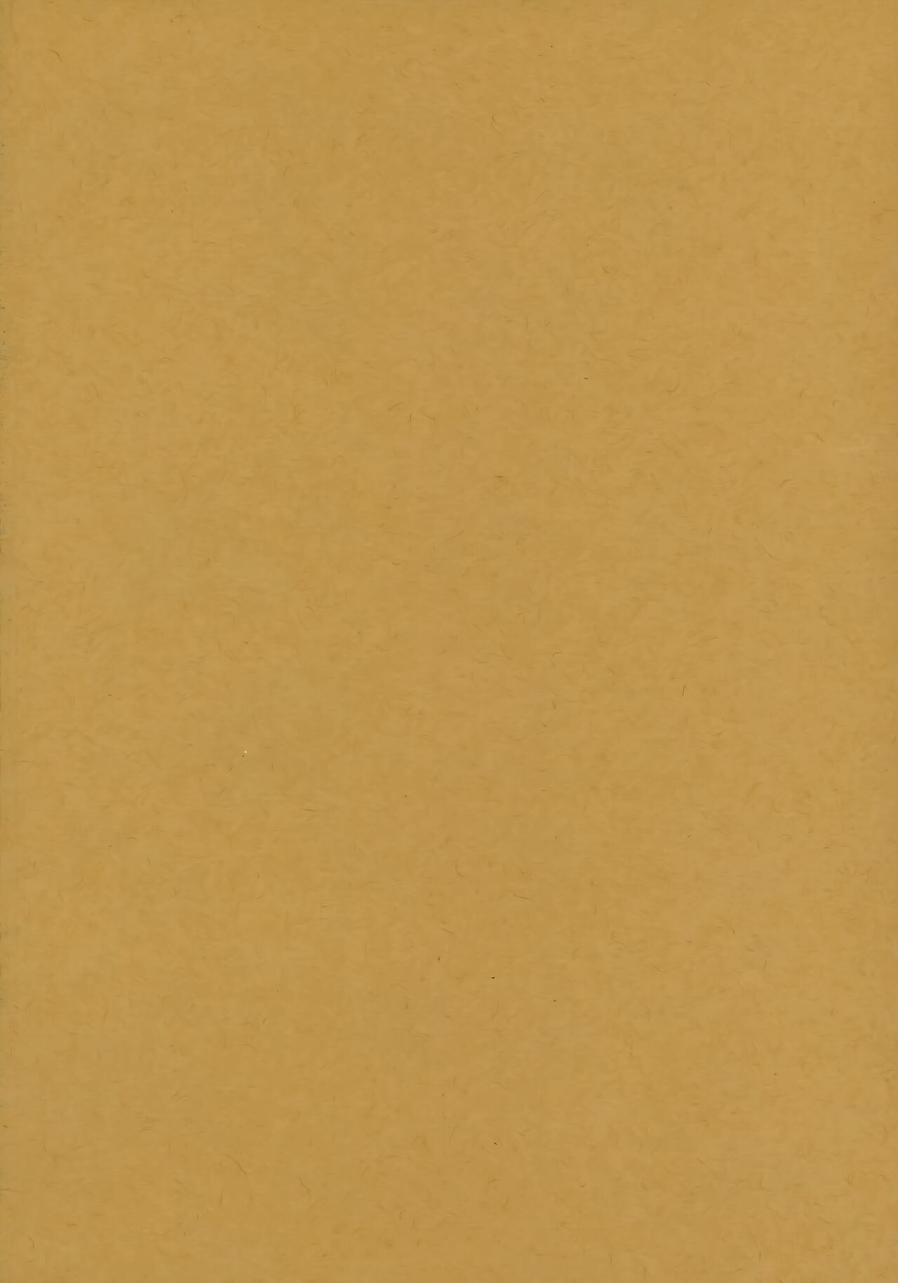 Admiral! "quiet" page 2 full