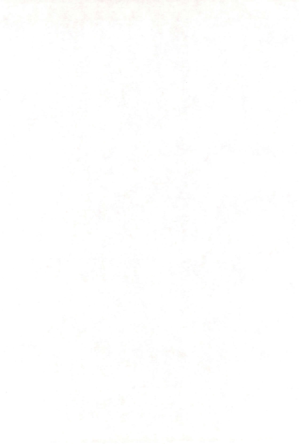 Echiteri page 4 full