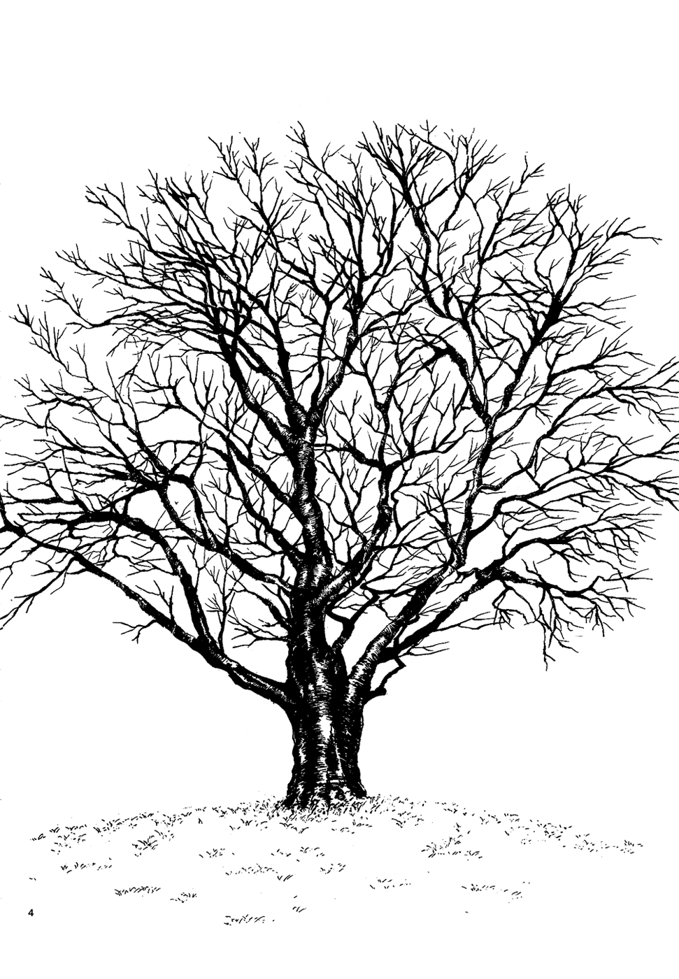 Sakura Gari Vol. 3 page 5 full