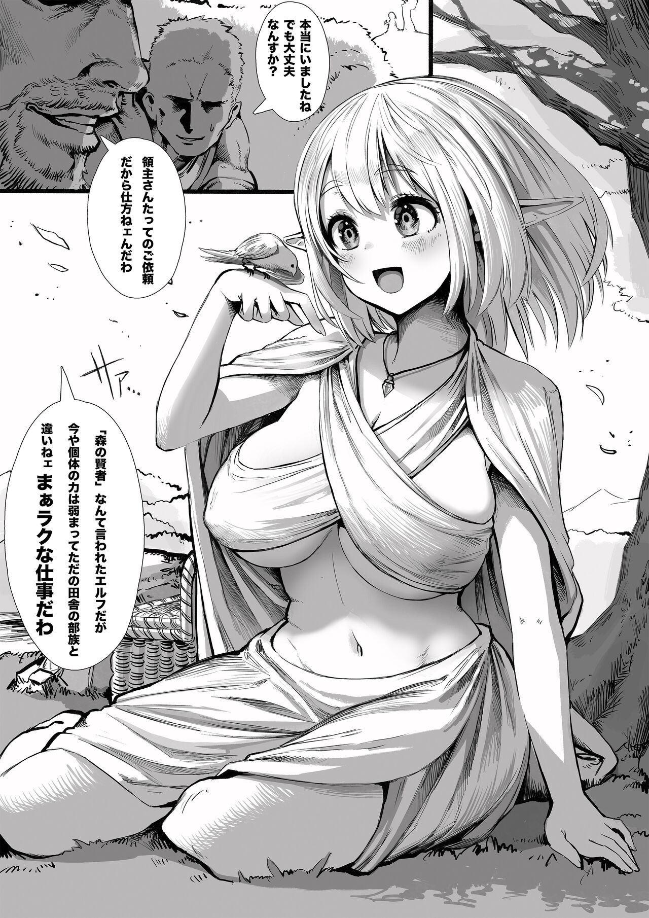 Boroboro ni Sareru Elf-san Kako Hen Kanketsu-ban page 5 full