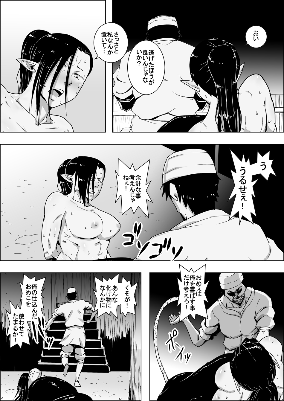 Mada Daimei no Nai Fantasy Ningyo no Onna Senshi to Touzoku no Otoko IV page 7 full