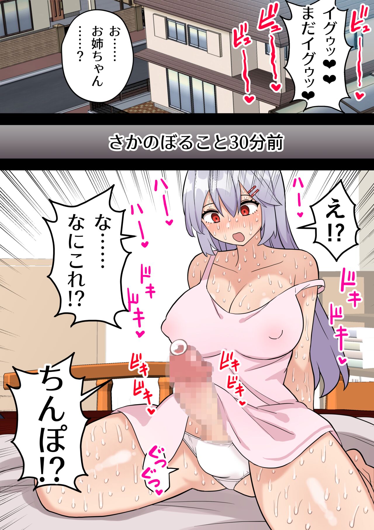 Imouto o Chinpo Case ni Suru Koutense Futanari Onee-chan no Hanashi #1 page 7 full